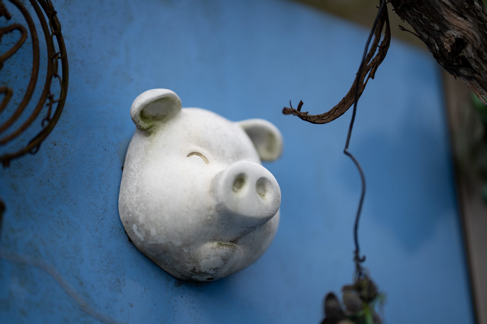 とある建物の壁に面白い飾りがあったので撮影してみました。フォーカスはAFエリアを目の位置に合わせて構図を変えずに追い込んでいます。日陰で光のニュアンスは薄いのですが、ハイライトの描写がよくてリアリティがあります。<br><span class="fnt-85">ソニー α7CR／ZEISS Otus ML 1.4/85／85mm／絞り優先AE（1/1,250秒、F1.4、±0.0EV）／ISO 100</span>