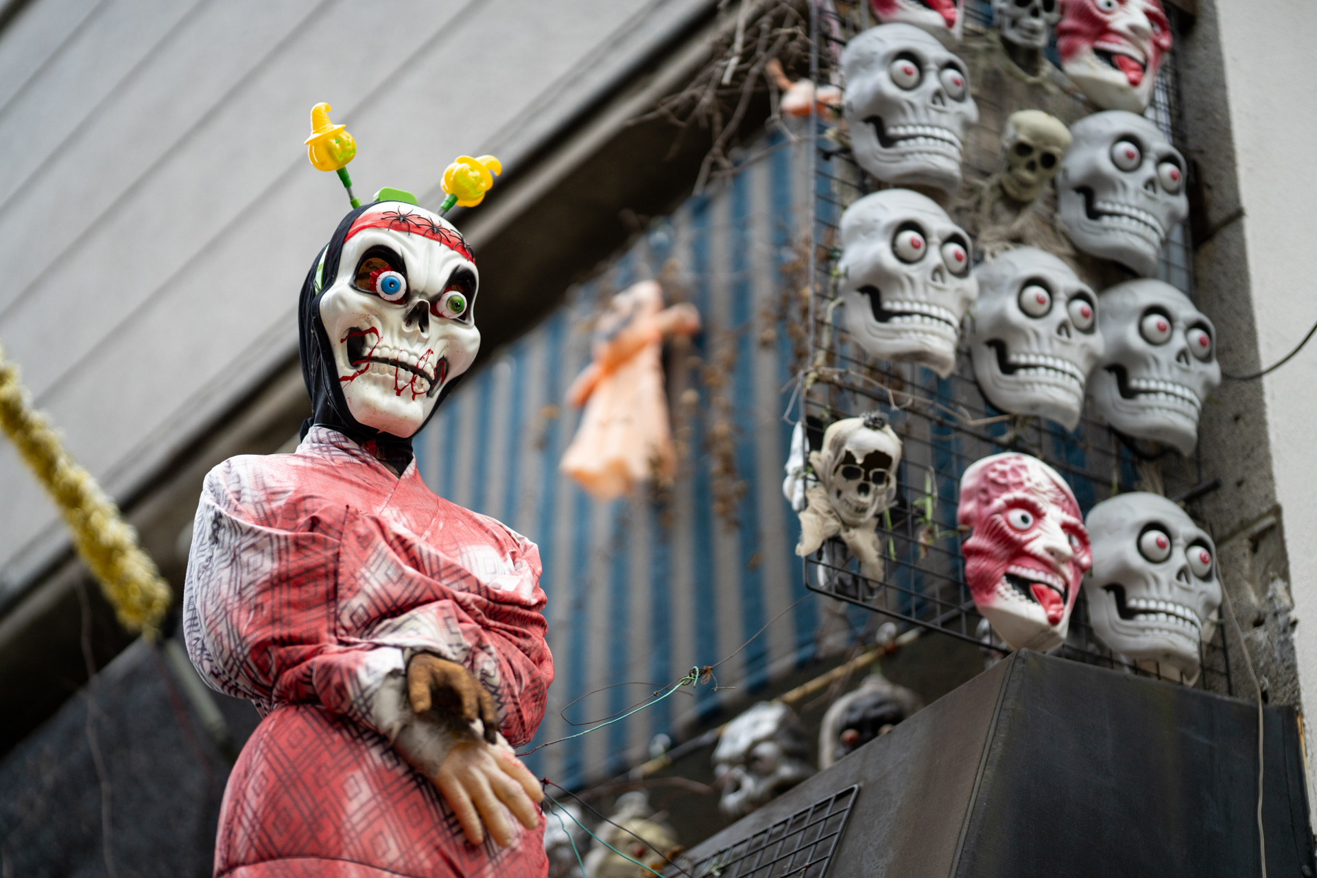 前を通りかかるたびに撮影している、居酒屋さんのオブジェです。ワイドレンズで絞り込んで状況をみせるという方法論とは少々異なり、主役を浮き立たせます。<br><span class="fnt-85">ソニー α7CR／ZEISS Otus ML 1.4/85／85mm／絞り優先AE（1/4,000秒、F1.4、−0.7EV）／ISO 800</span>