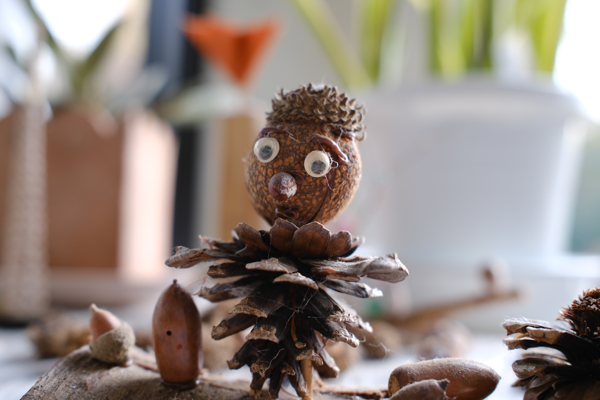 富士フイルム X100VI／23mm（35mm相当）／絞り優先AE（1/35秒、F2.8、＋0.7EV）／ISO 200