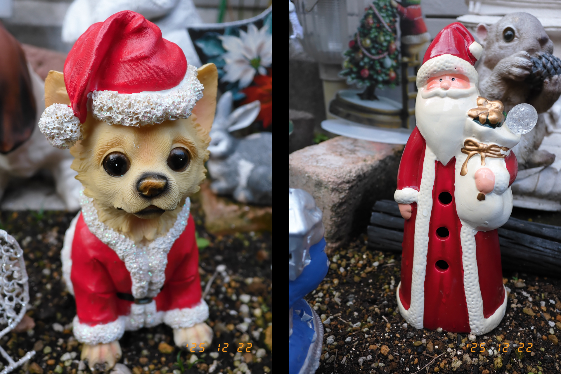 富士フイルム X half