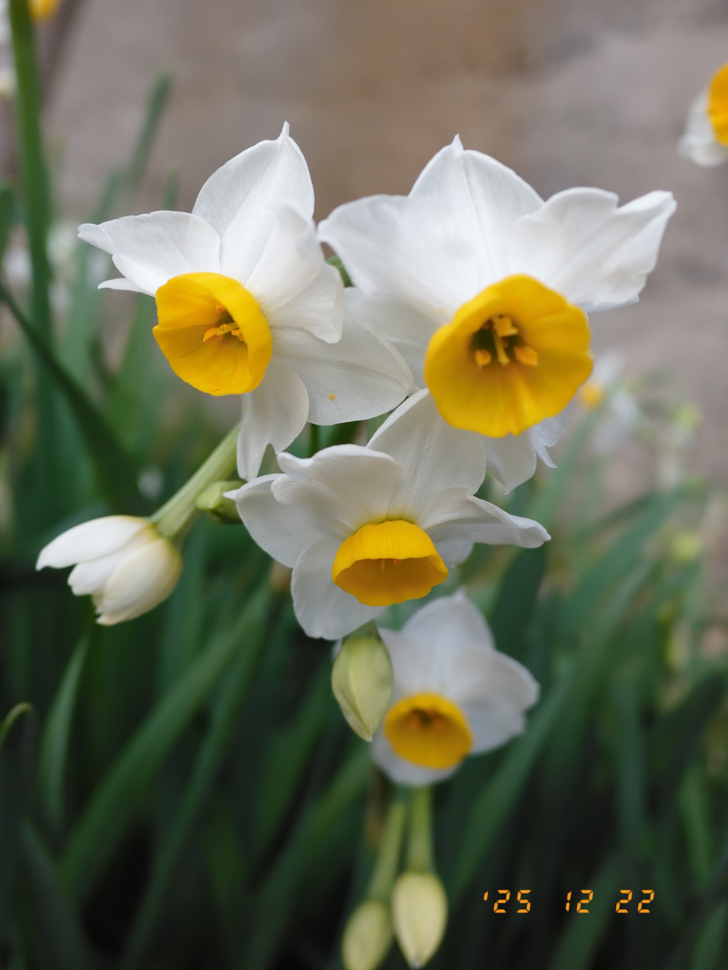 富士フイルム X half／絞り優先AE（1/550秒、F2.8、±0.0EV）／ISO 200