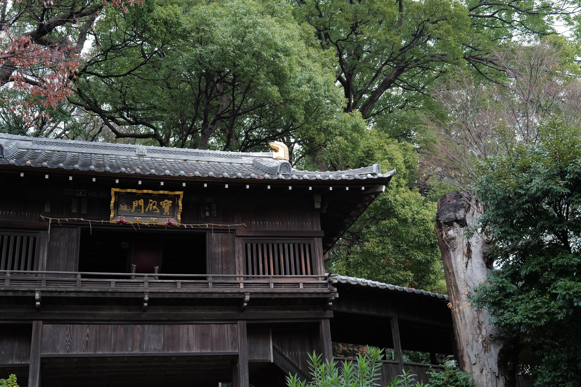 ライカQ3 43／43mm／絞り優先AE（1/80秒、F5.6、−1EV）／ISO 5000