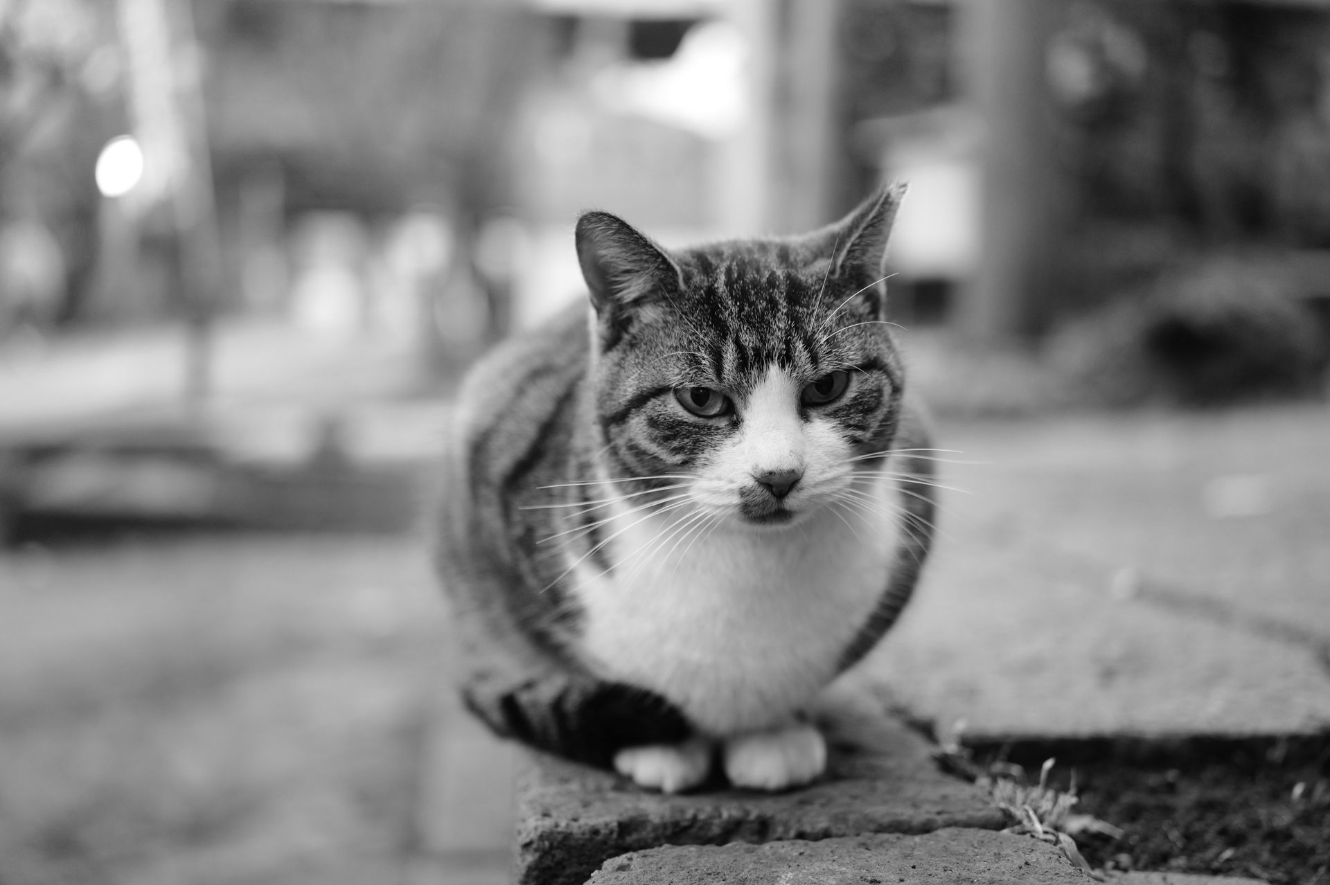 ライカQ3 43／43mm／絞り優先AE（1/80秒、F2.0、＋0.3EV）／ISO 1000