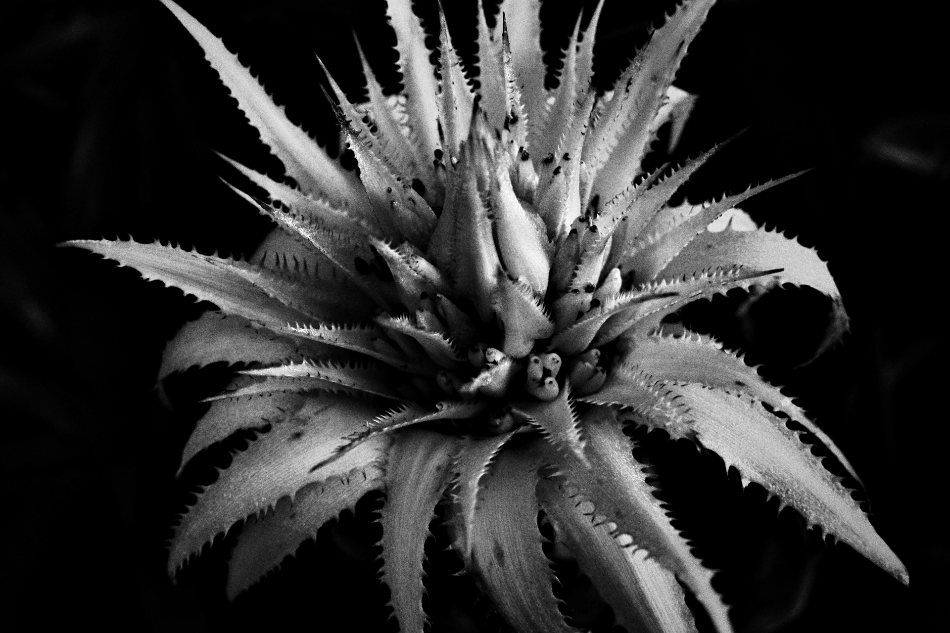 リコー GR IV／18.3mm（28mm相当）／絞り優先AE（1/30秒、F5.6、−2EV）／ISO 500