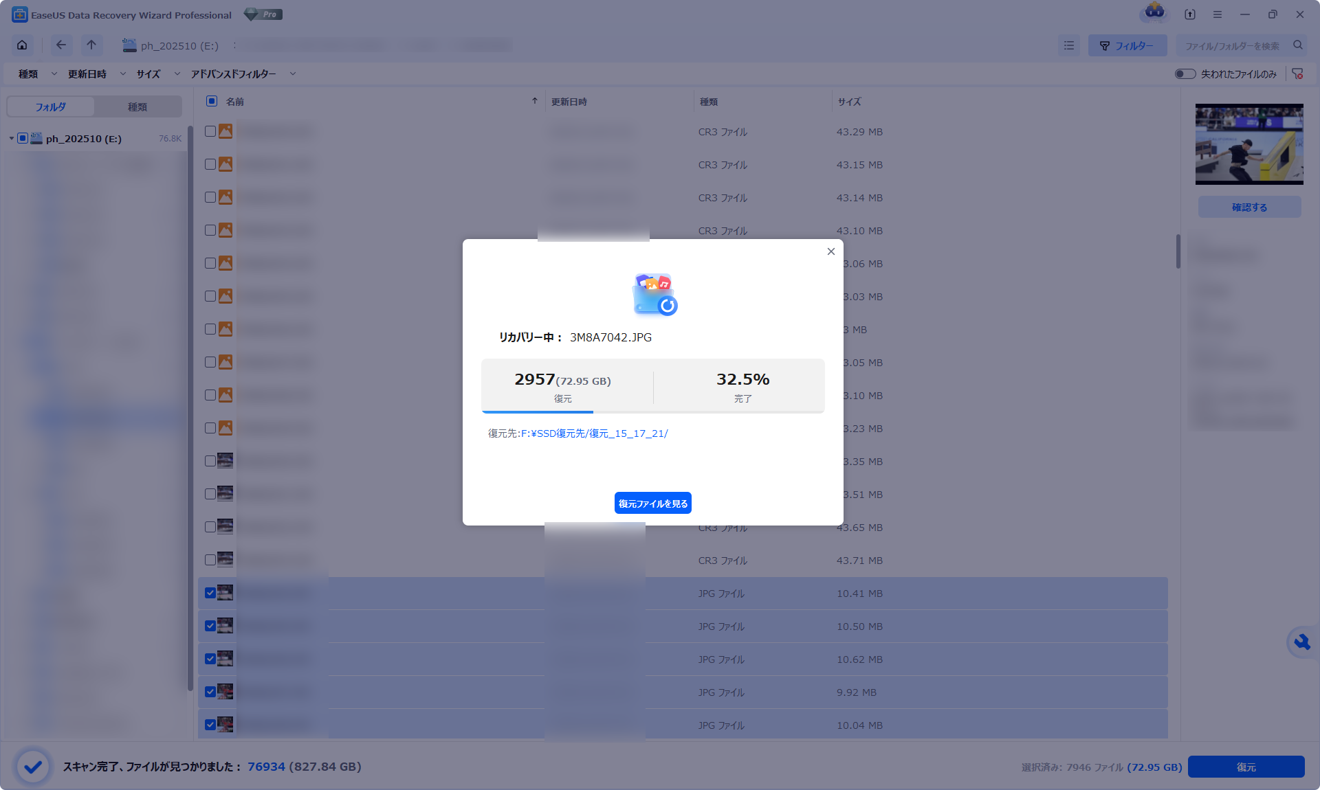 まず一部のファイルで復元を試みた。72.95GBのデータが正常に復元できることを確認