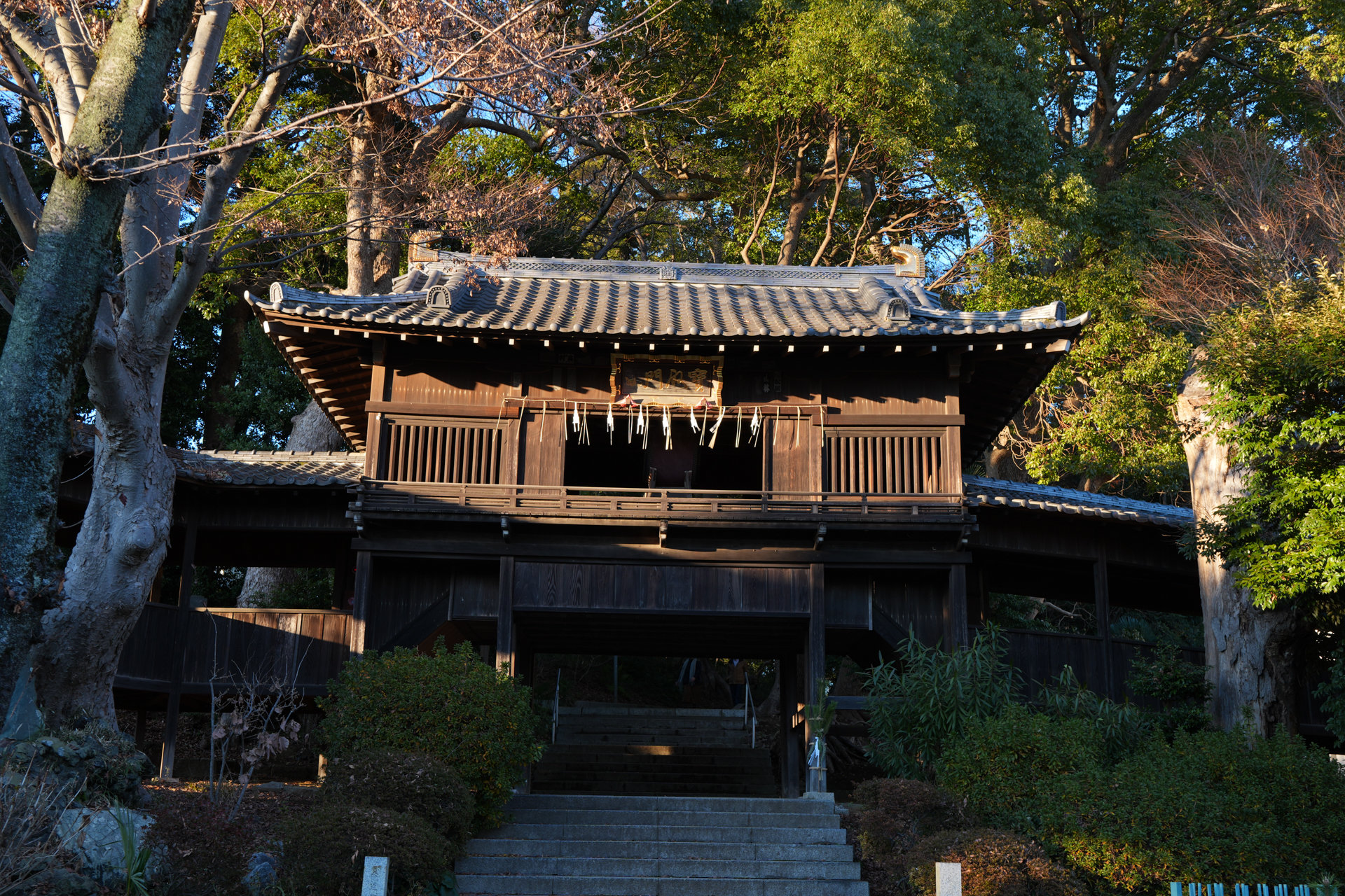 α7 V／FE 28-70mm F3.5-5.6 OSS II／37mm／絞り優先AE（1/25秒、F8.0、－1EV）／ISO 100