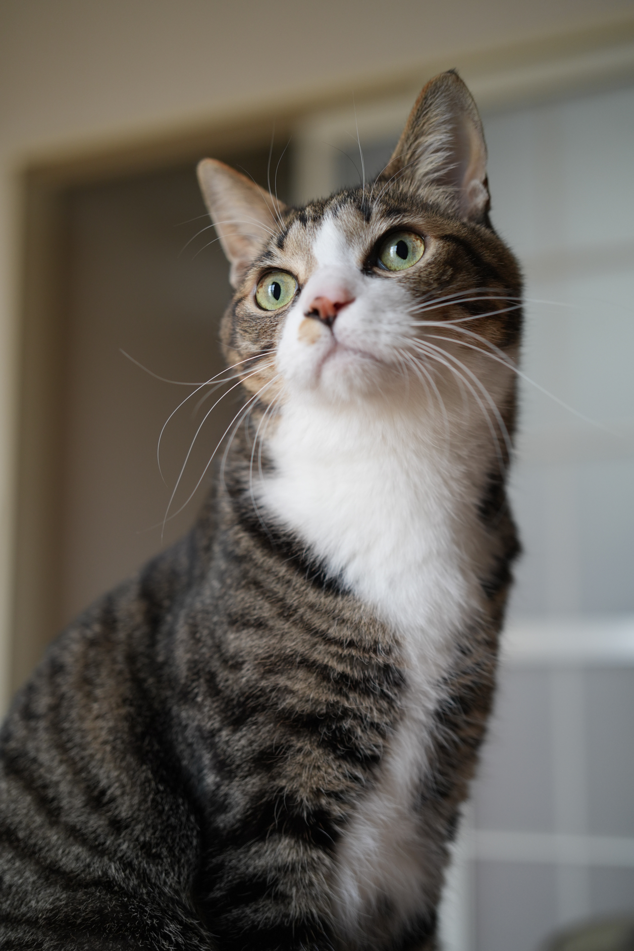 α7 V／FE 50mm F2.5 G／50mm／絞り優先AE（1/100秒、F2.5、－0.7EV）／ISO 400