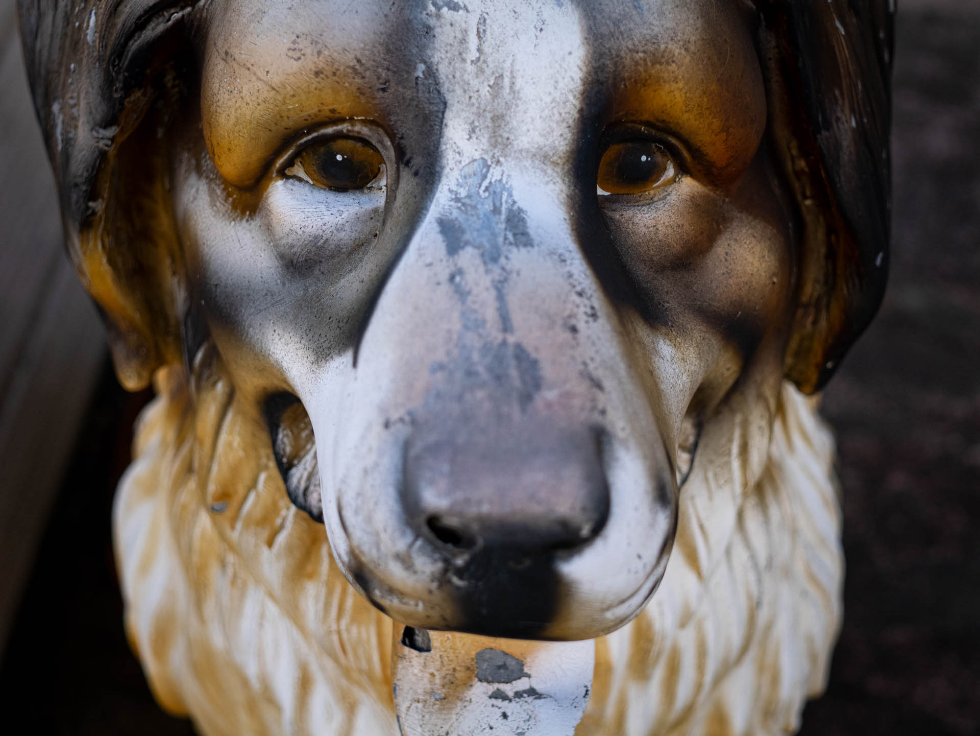 最短撮影距離での撮影です。像の悪化は感じられません。日陰の光の鈍い状態ですが、秀逸な描写ですね。<br><span class="fnt-85">LUMIX G9PROII／SIGMA 30mm F2.8 EX DN／30mm（60mm相当）／絞り優先AE（1/1,600秒、F3.2、−0.7EV）／ISO 400</span>