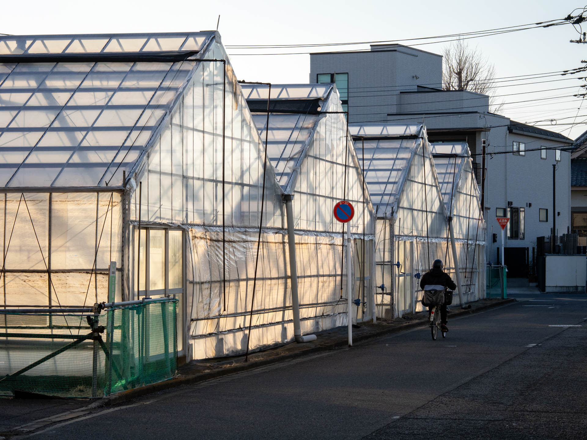中望遠スナップですが、実焦点距離が短いのですこし絞り込めば被写界深度が深くなり、簡単にパンフォーカス効果を得ることができます。<br><span class="fnt-85">LUMIX G9PROII／SIGMA 60mm F2.8 DN／60mm（120mm相当）／プログラムAE（1/500秒、F9.0、±0.0EV）／ISO 400</span>