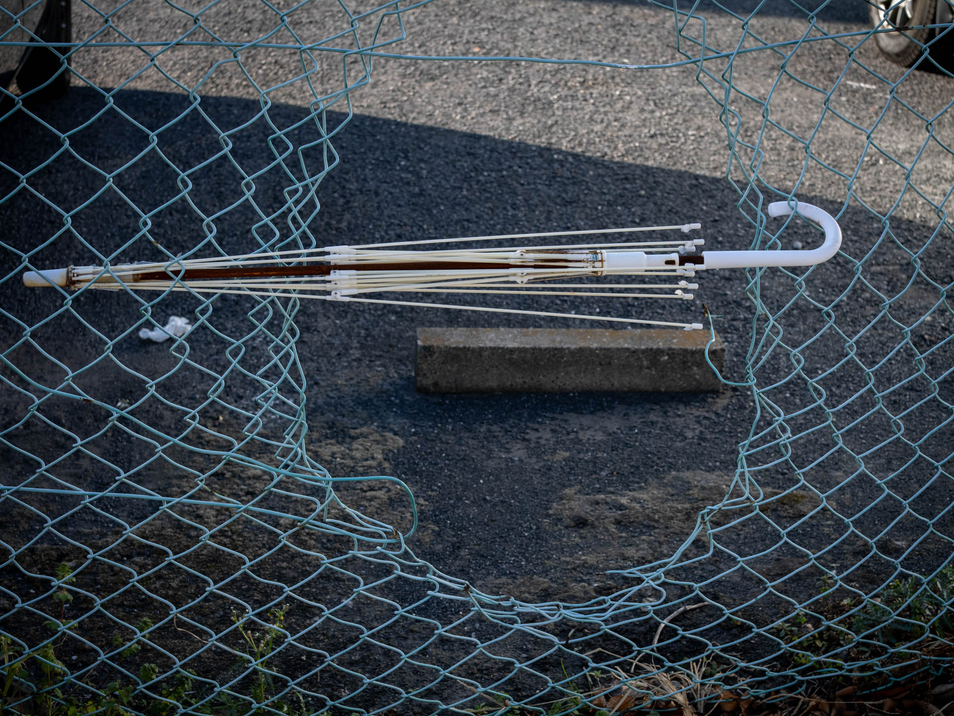 トボけた光景です。やろうとしていることは理解できます。もっと絞りを開くべきでしたけど、面倒なので撮り直しませんでした。<br><span class="fnt-85">LUMIX G9PROII／SIGMA 30mm F2.8 EX DN／30mm（60mm相当）／プログラムAE（1/500秒、F5.6、−0.7EV）／ISO 400</span>