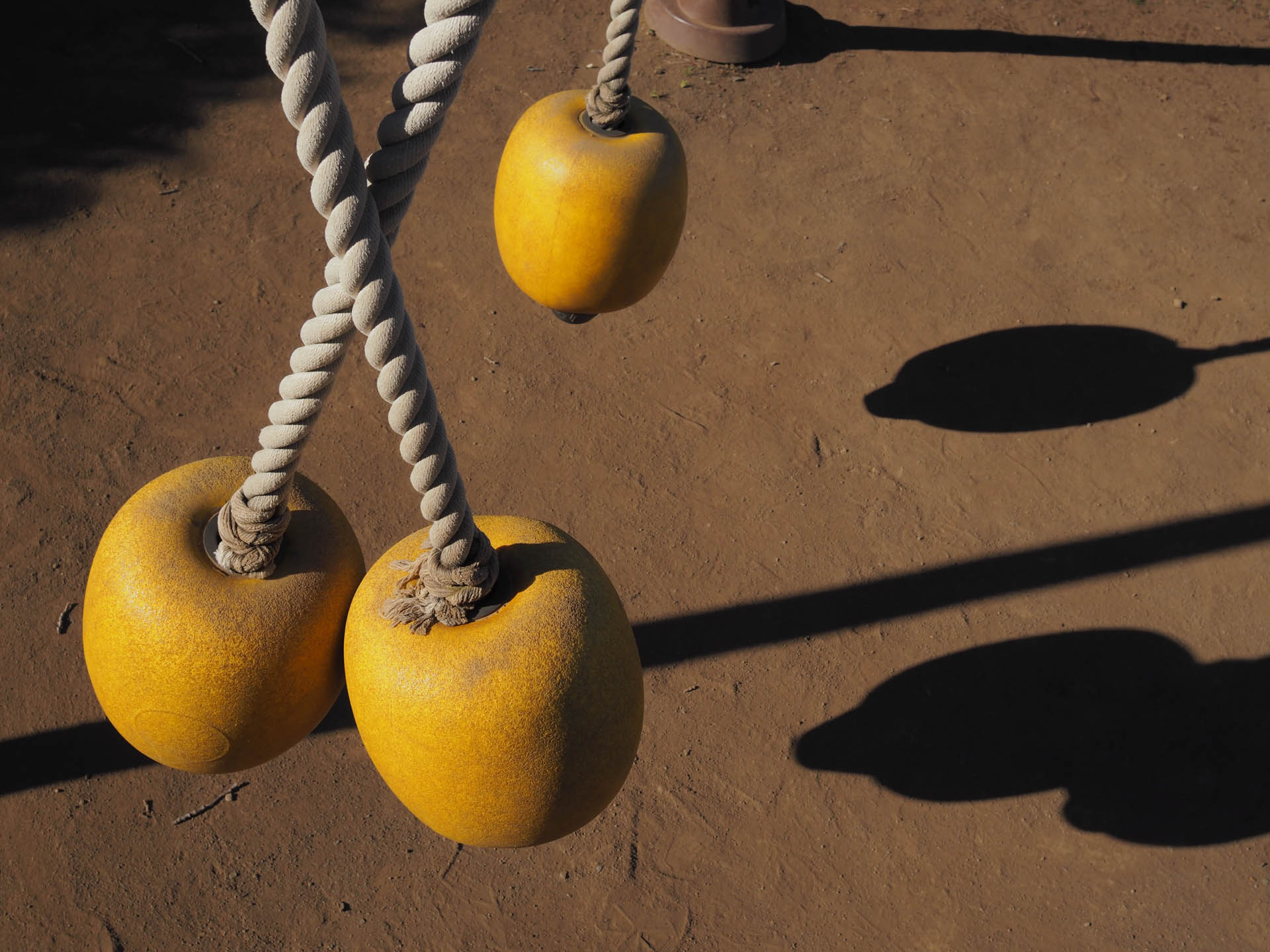 コントラストが強い条件です。ロープの再現をみると、感心しますねえ。<br><span class="fnt-85">OLYMPUS PEN-F／SIGMA 19mm F2.8 DN／19mm（38mm相当）／プログラムAE（1/640秒、F8.0、−0.3EV）／ISO 400</span>