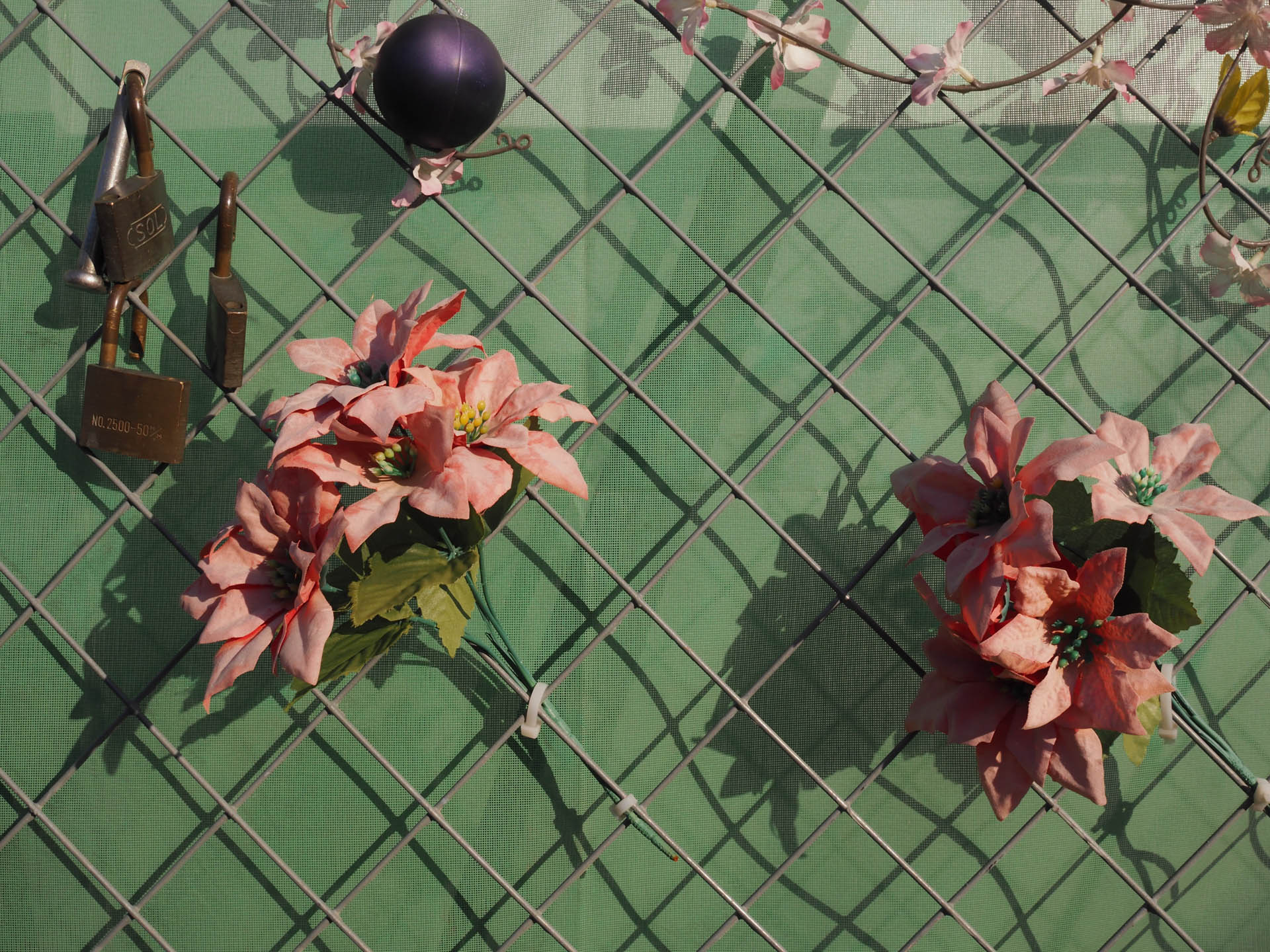 少々シャープネスが強いのではと感じるほどで、絞りが効いているんだろうなあと。<br><span class="fnt-85">OLYMPUS PEN-F／SIGMA 19mm F2.8 DN／19mm（38mm相当）／プログラムAE（1/800秒、F10、−0.3EV）／ISO 400</span>