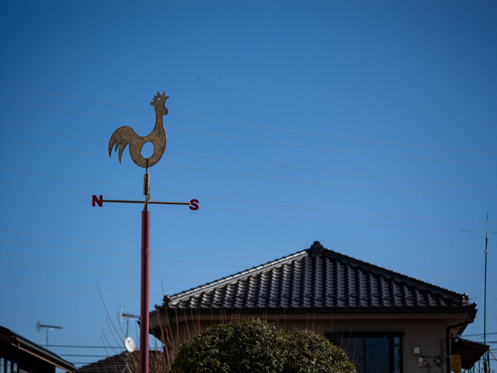 その昔、風見鶏とニックネームされた総理大臣がいたことを思い出し。時節柄のネタです。このレンズはひたすら直線を再現します。<br><span class="fnt-85">LUMIX G9PROII／SIGMA 60mm F2.8 DN／60mm（120mm相当）／絞り優先AE（1/4,000秒、F2.8、−0.3EV）／ISO 100</span>