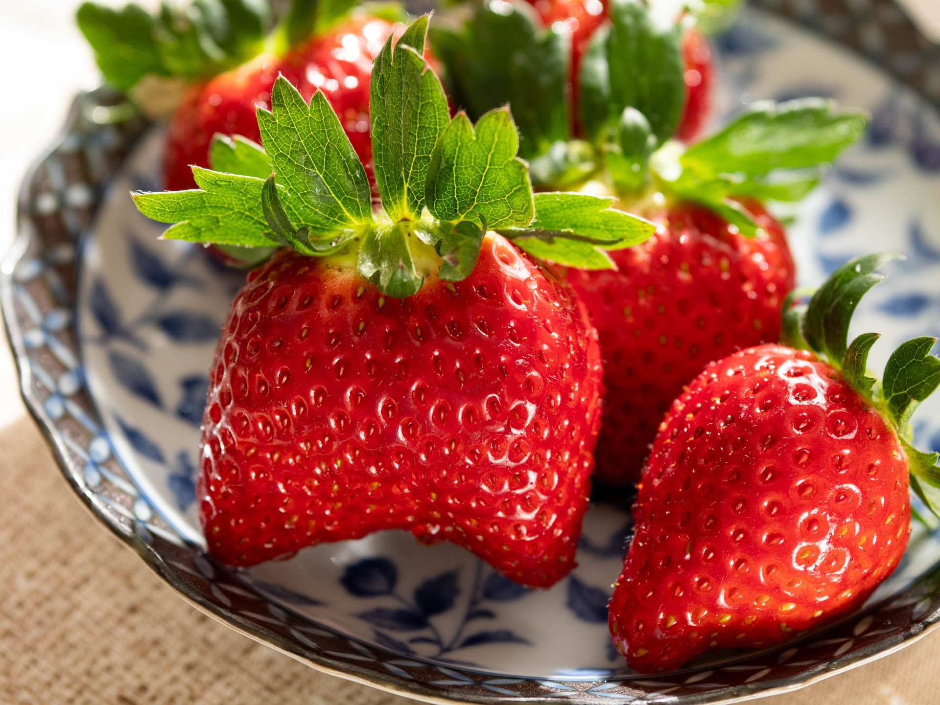 マクロレンズではないのですが、そこそこ寄れてしまうのですから、積極的に撮りたくなります。素晴らしい画質です。<br><span class="fnt-85">LUMIX G9PROII／SIGMA 60mm F2.8 DN／60mm（120mm相当）／絞り優先AE（1/100秒、F3.5、±0.0EV）／ISO 400</span>