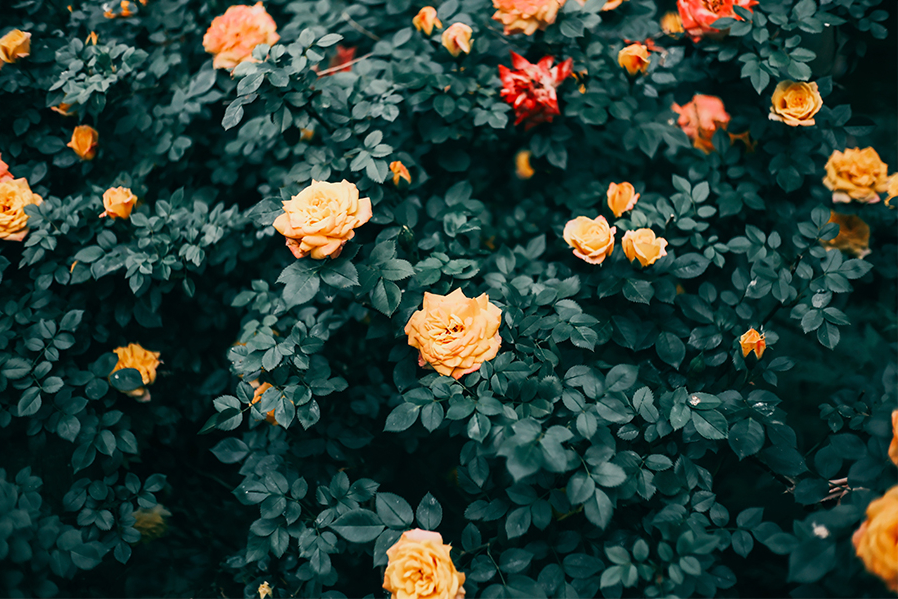 提供：E&Iクリエイション株式会社