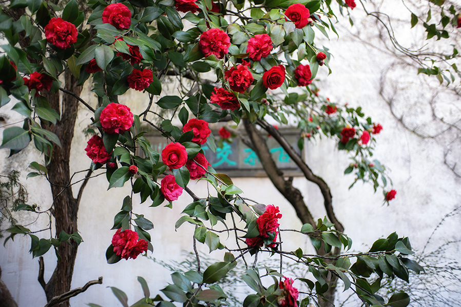 提供：E&Iクリエイション株式会社