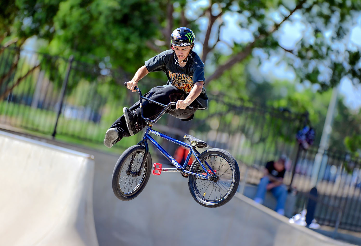 提供：サイトロンジャパン