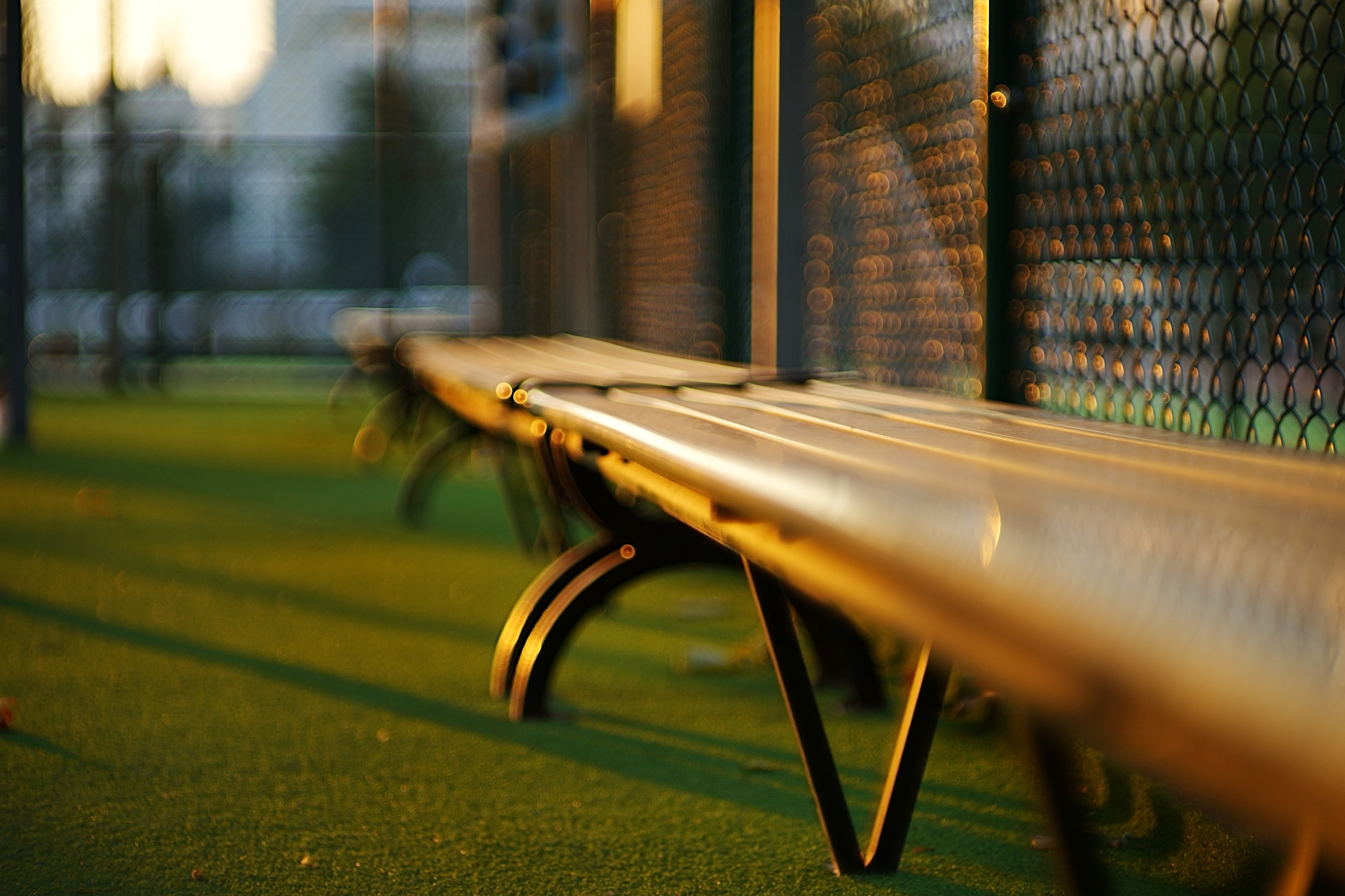 サンプル画像（提供：焦点工房）