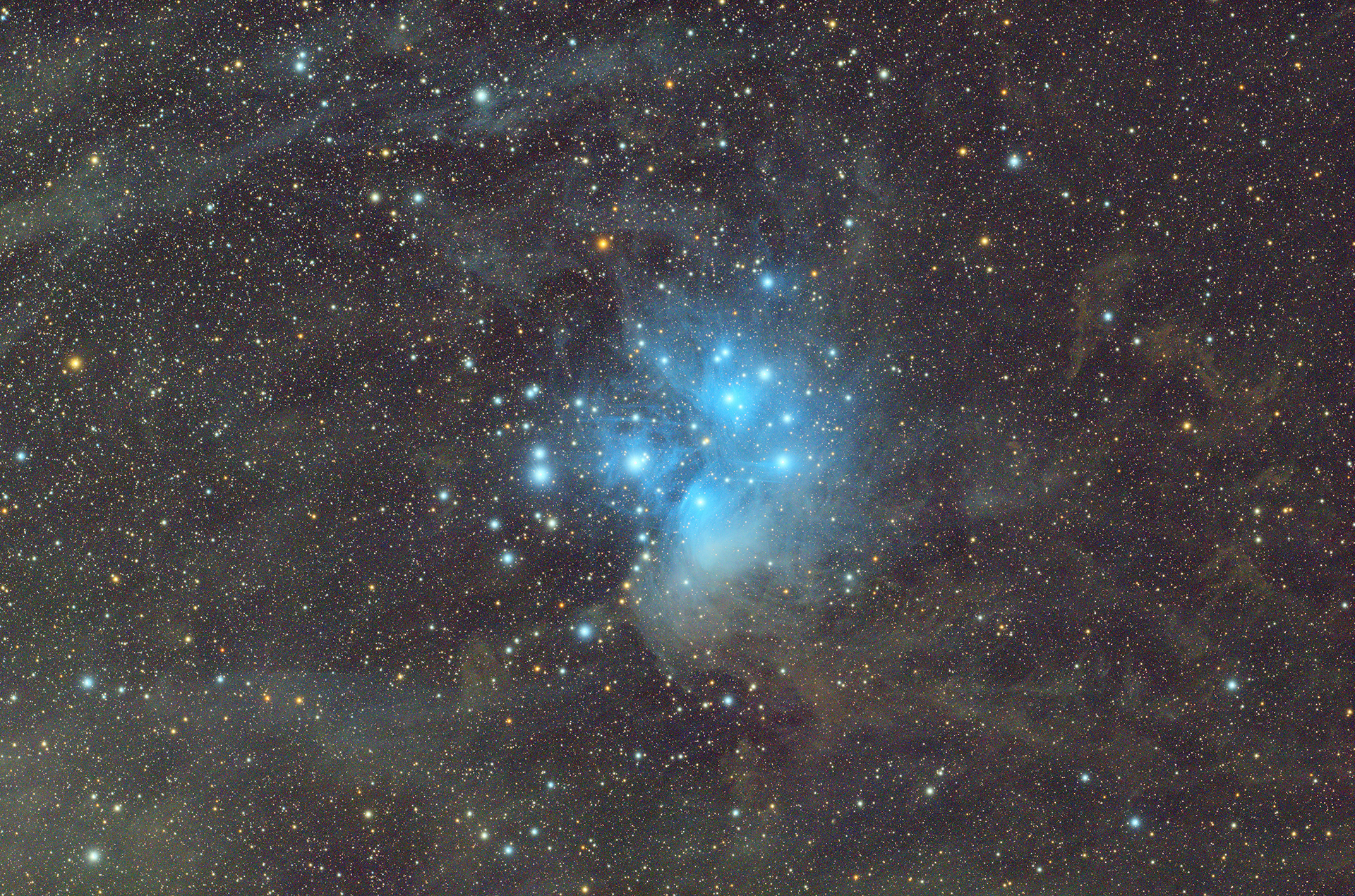 提供：株式会社サイトロンジャパン