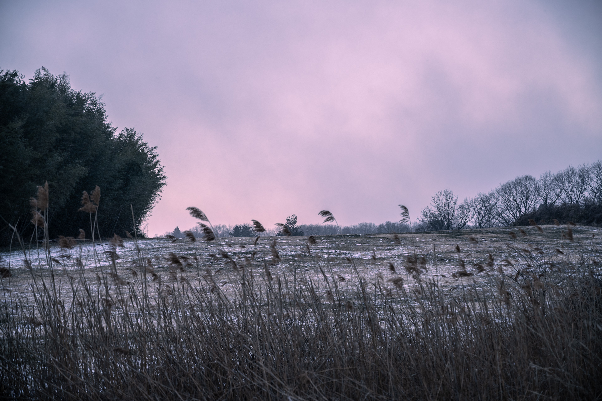 ニコン Z7／NIKKOR Z 24-70mm f/4 S／70mm／絞り優先AE（1/100秒、F4）／ISO 160