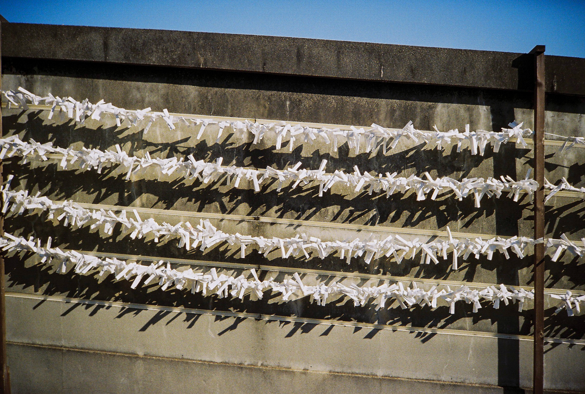 さすがカラーネガフィルム。ハイライトが粘ります。描写もいい。この条件では周辺光量低下は感じます。フィルムの製造はコダックですね。<br><span class="fnt-85">Lomo MC-A／MINITAR-II 32mm F2.8／プログラムAE／lomography Color Negative 35mm ISO 400</span>