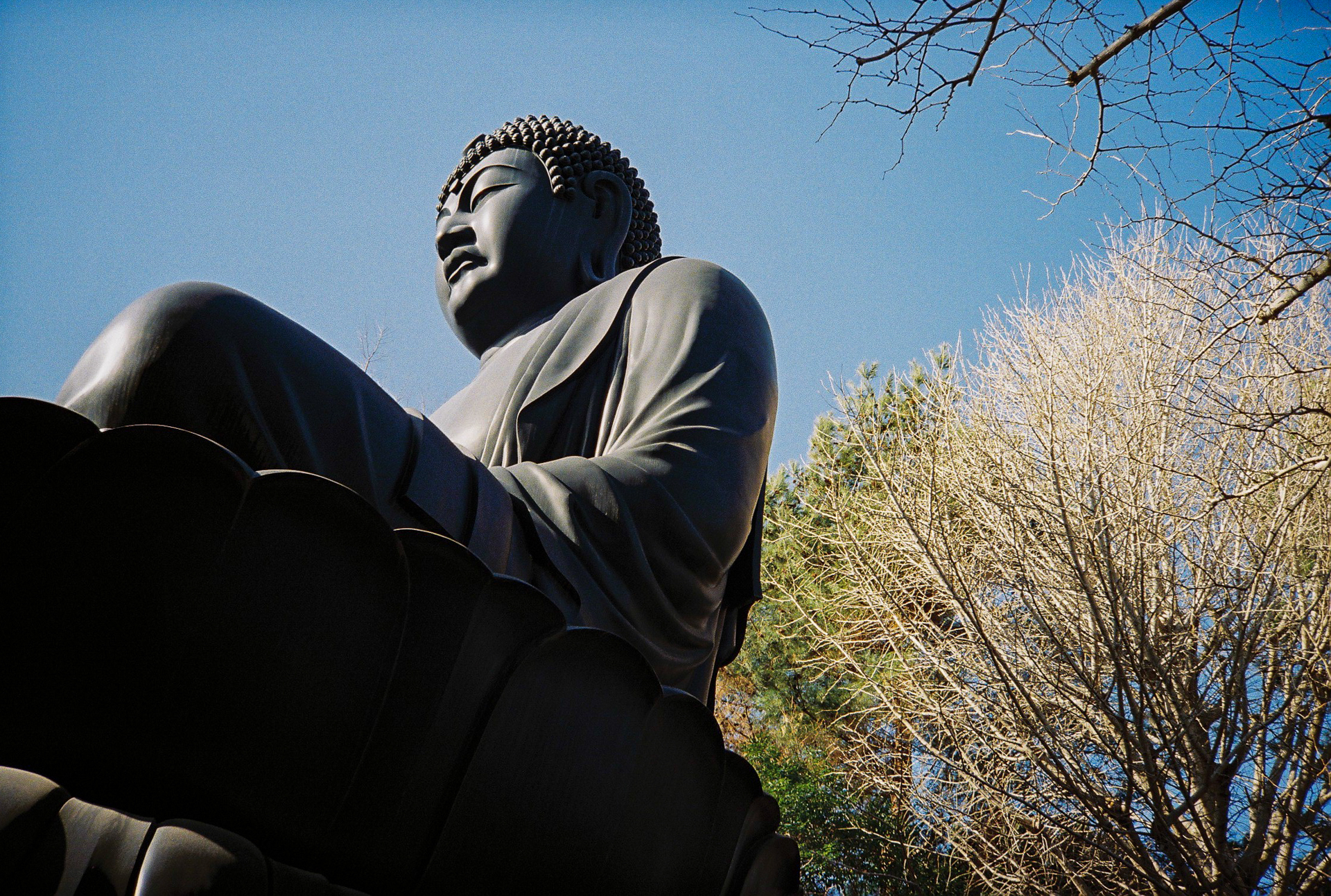 この条件では周辺光量低下は目立ちませんね。不思議ですが、かなり絞られていたのかも。撮影距離の問題かもしれないのですが、謎の描写をします。高周波成分の多いところは少し線が太いですが、鮮鋭さを追求するならば中庸感度のフィルムを使ったほうがいいですね。<br><span class="fnt-85">Lomo MC-A／MINITAR-II 32mm F2.8／プログラムAE／lomography Color Negative 35mm ISO 400</span>