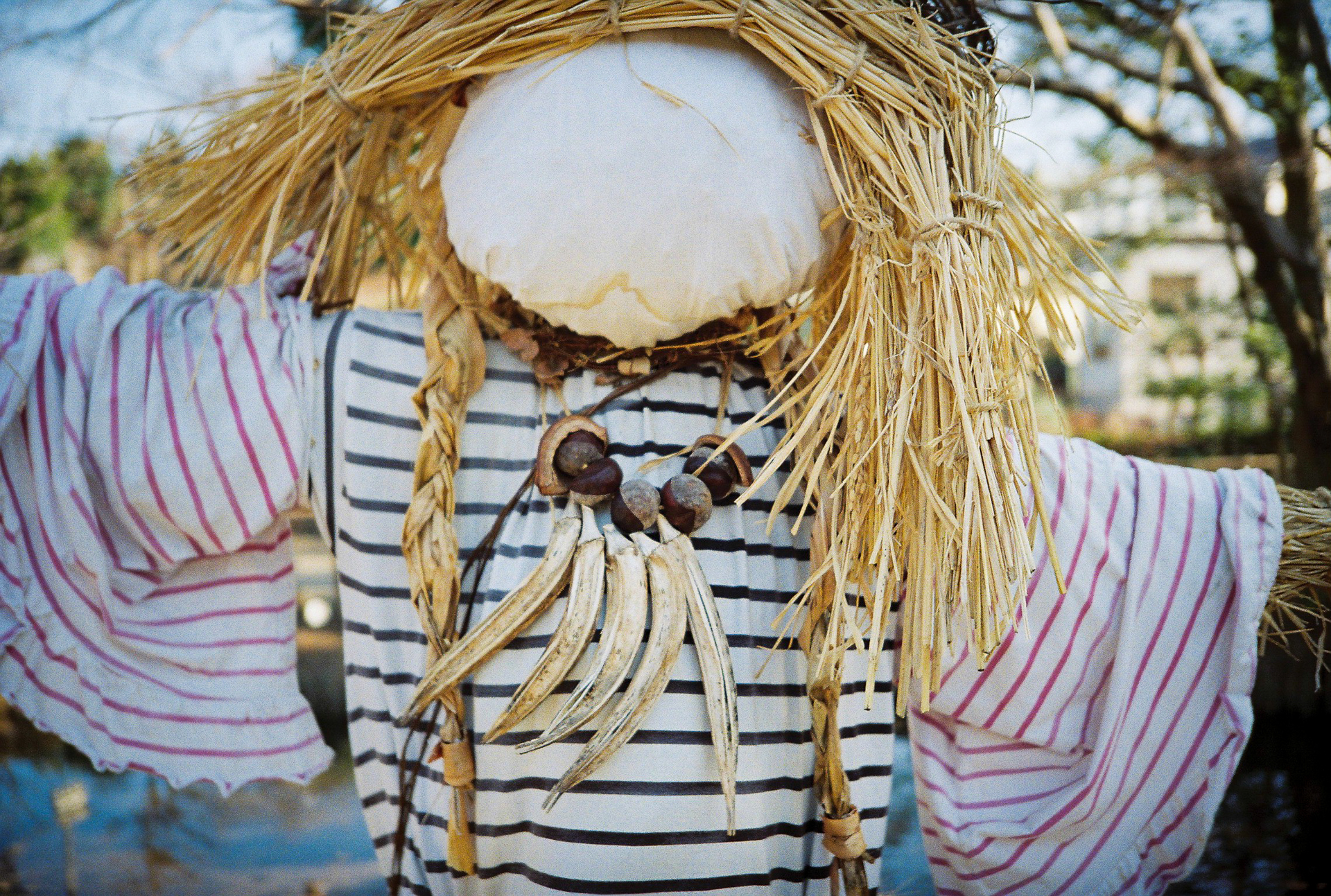 日陰の条件ですが、フィルムの特性なのか、いい感じに温調です。背景をボカそうという意図から絞りを開き気味にして近寄りましたが、パララックスが大きく、筆者の予想より画面上部が切れてしまいました。<br><span class="fnt-85">Lomo MC-A／MINITAR-II 32mm F2.8／絞り優先AE（F4）／lomography Color Negative 35mm ISO 400</span>