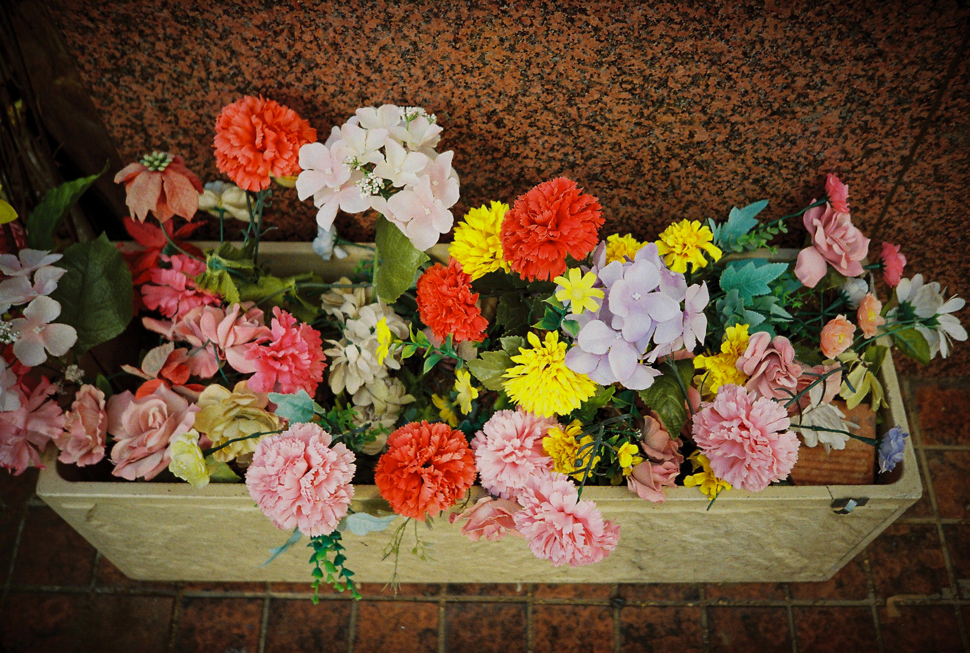 道の片隅にあったサイケな造花です。日中シンクロしてみましたが、配光特性がよくて露出もよく自然な描写になりました。大したものです。<br><span class="fnt-85">Lomo MC-A／MINITAR-II 32mm F2.8／プログラムAE／lomography  Color Negative 35mm ISO 400／内蔵フラッシュ使用</span>