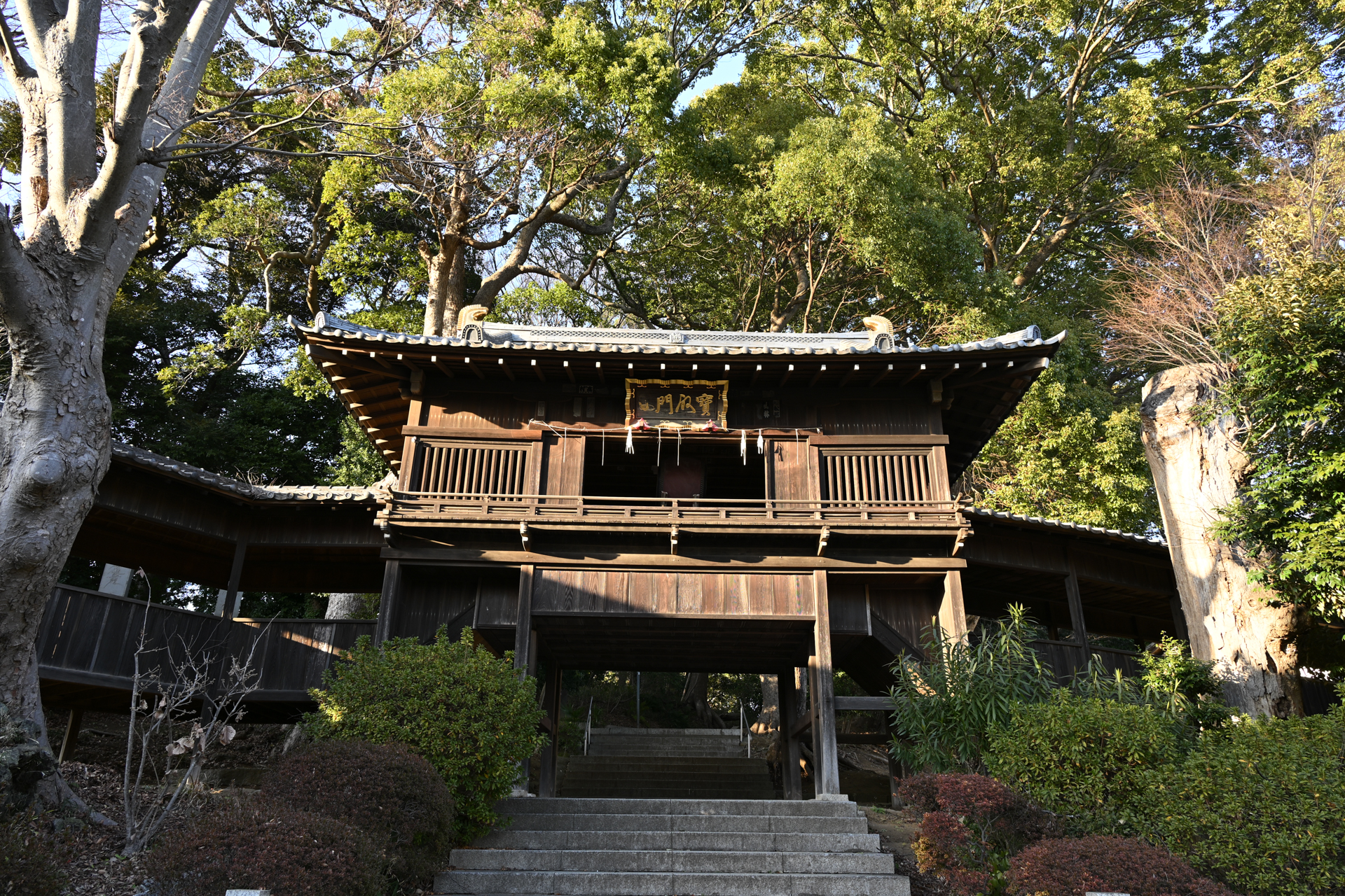 ニコン Z5II／NIKKOR Z 24-105mm f/4-7.1／24mm／絞り優先AE（1/25秒、F8.0、−0.7EV）／ISO 140