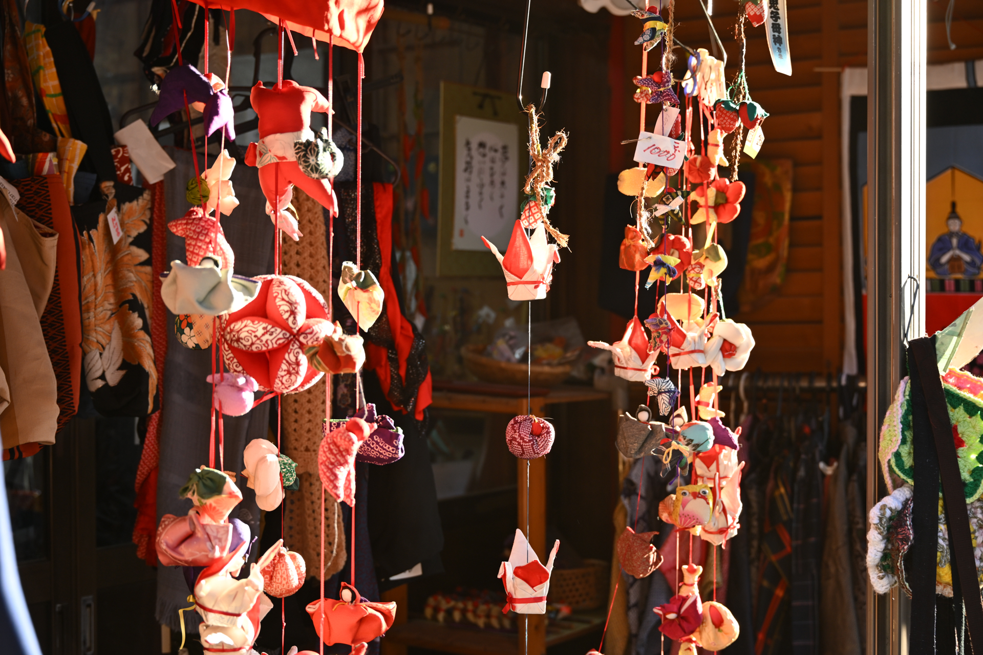 ニコン Z5II／NIKKOR Z 24-105mm f/4-7.1／63mm／絞り優先AE（1/60秒、F5.6、±0.3EV）／ISO 360