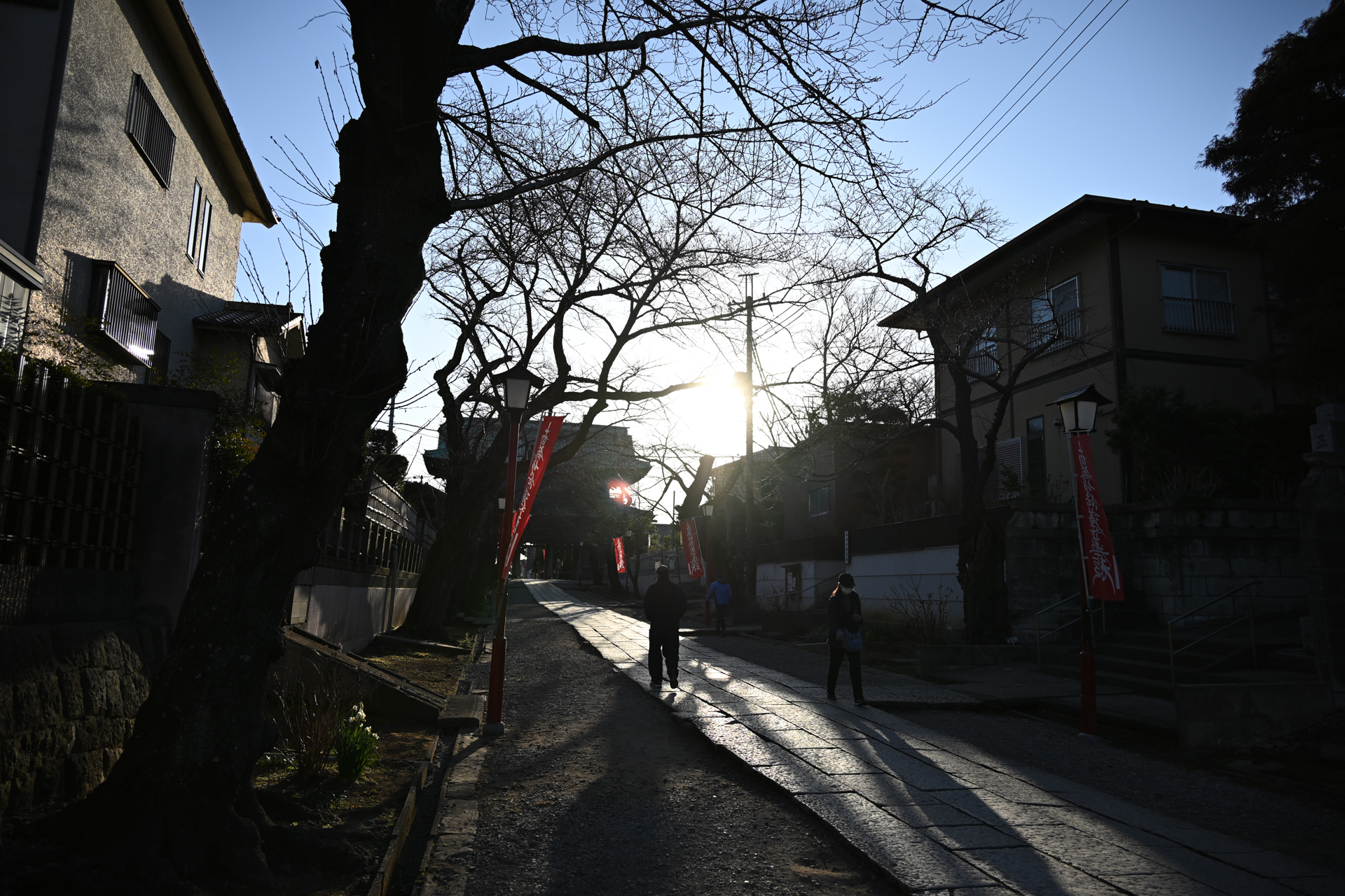 ニコン Z5II／NIKKOR Z 24-105mm f/4-7.1／24mm／絞り優先AE（1/1,000秒、F4.0、±0.0EV）／ISO 100