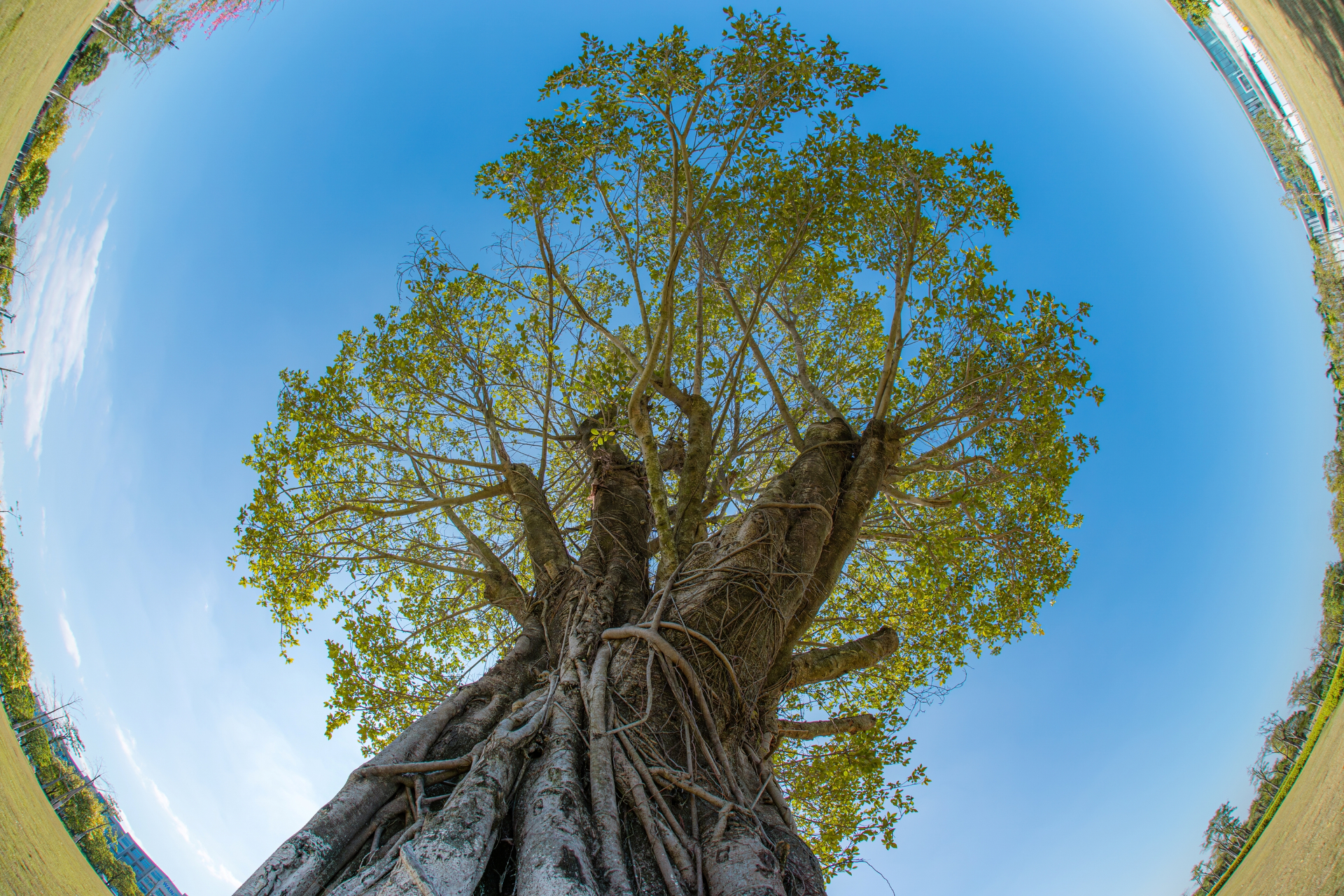 サンプル画像（提供：株式会社焦点工房）