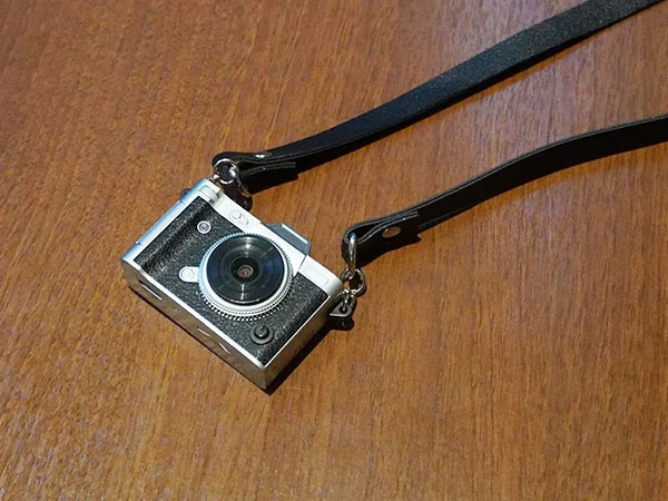 ネックストラップが付属する