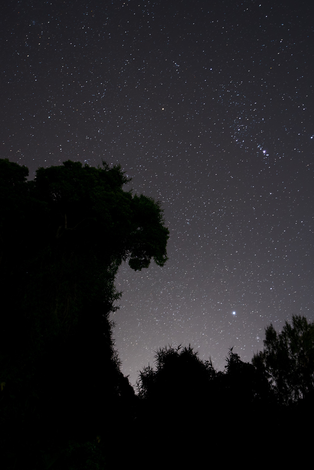 最優秀賞（アンダー18）：「生命」橋本旭玄氏
