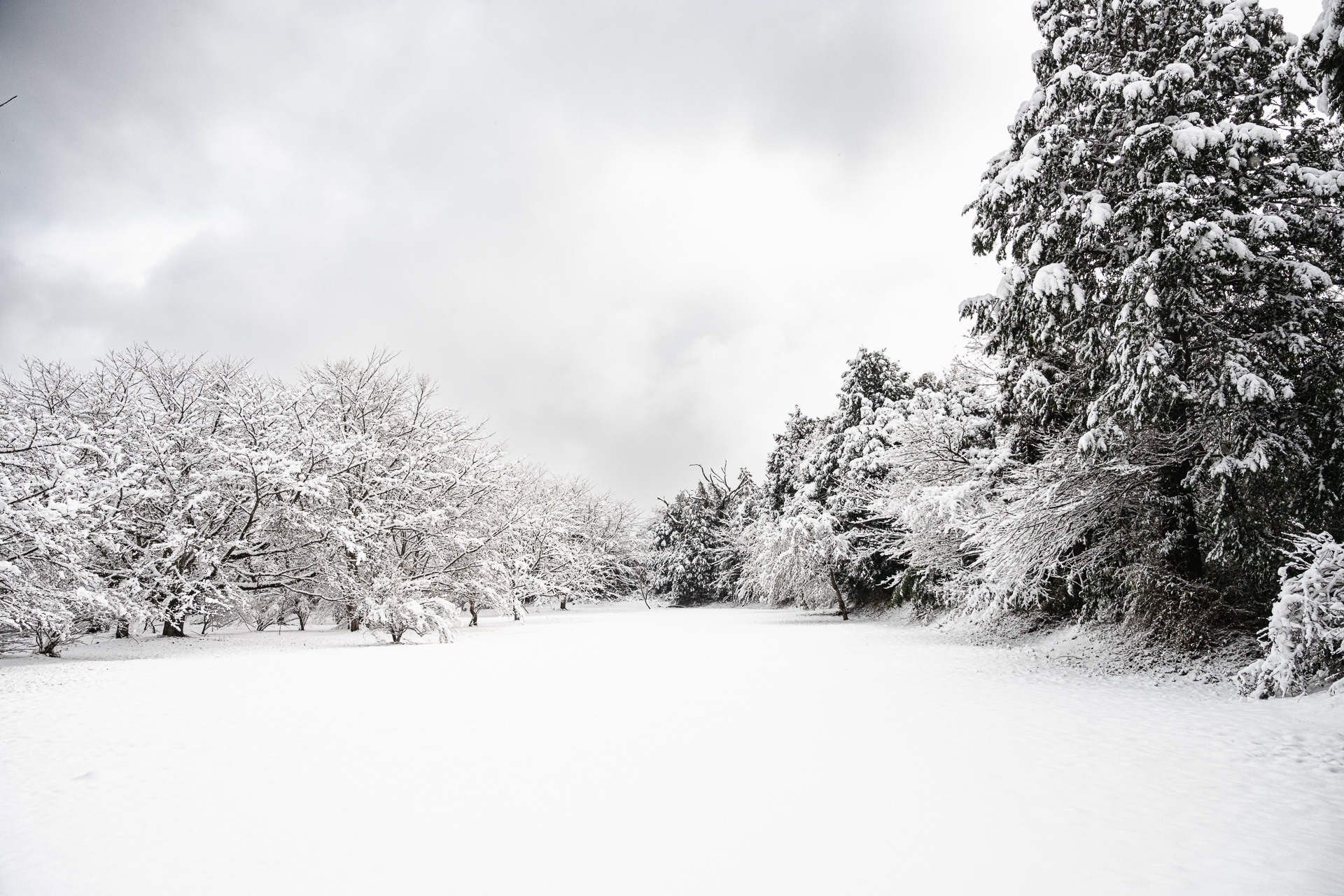 ニコン Z7／NIKKOR Z 24-70mm f/4 S／24mm／絞り優先AE（1/2,000秒、F5.6）／ISO 100