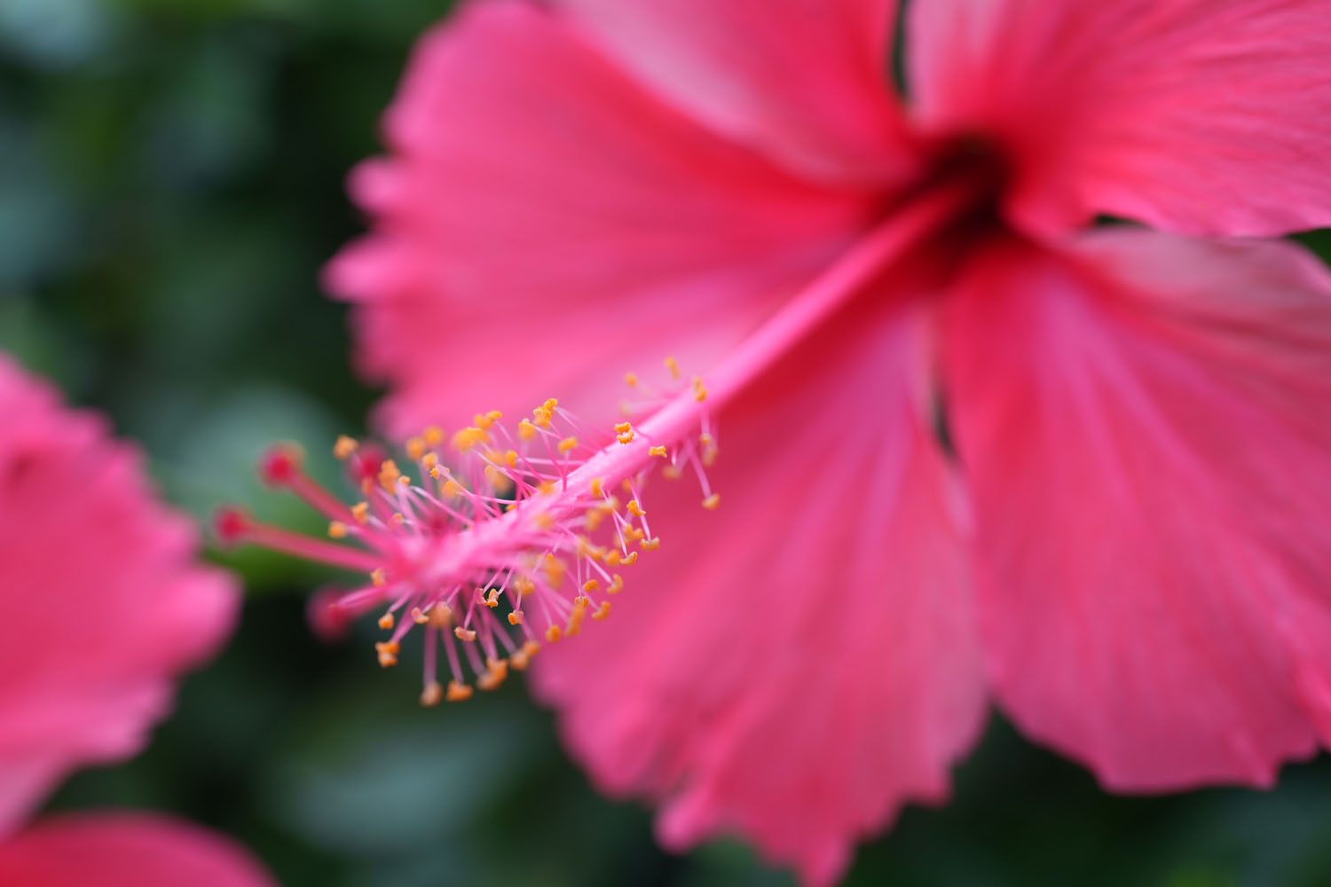 提供：サイトロンジャパン