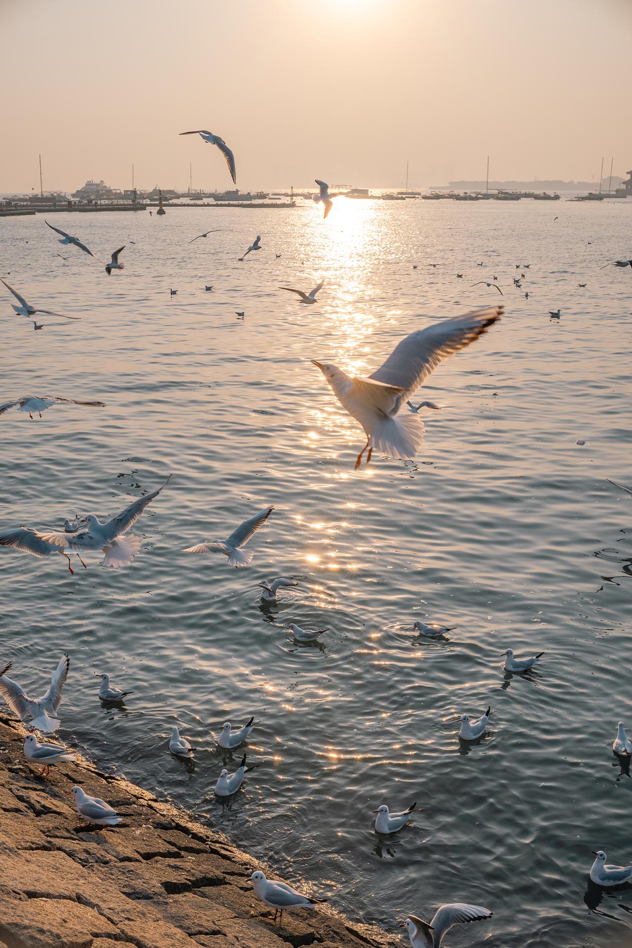 サンプルフォト