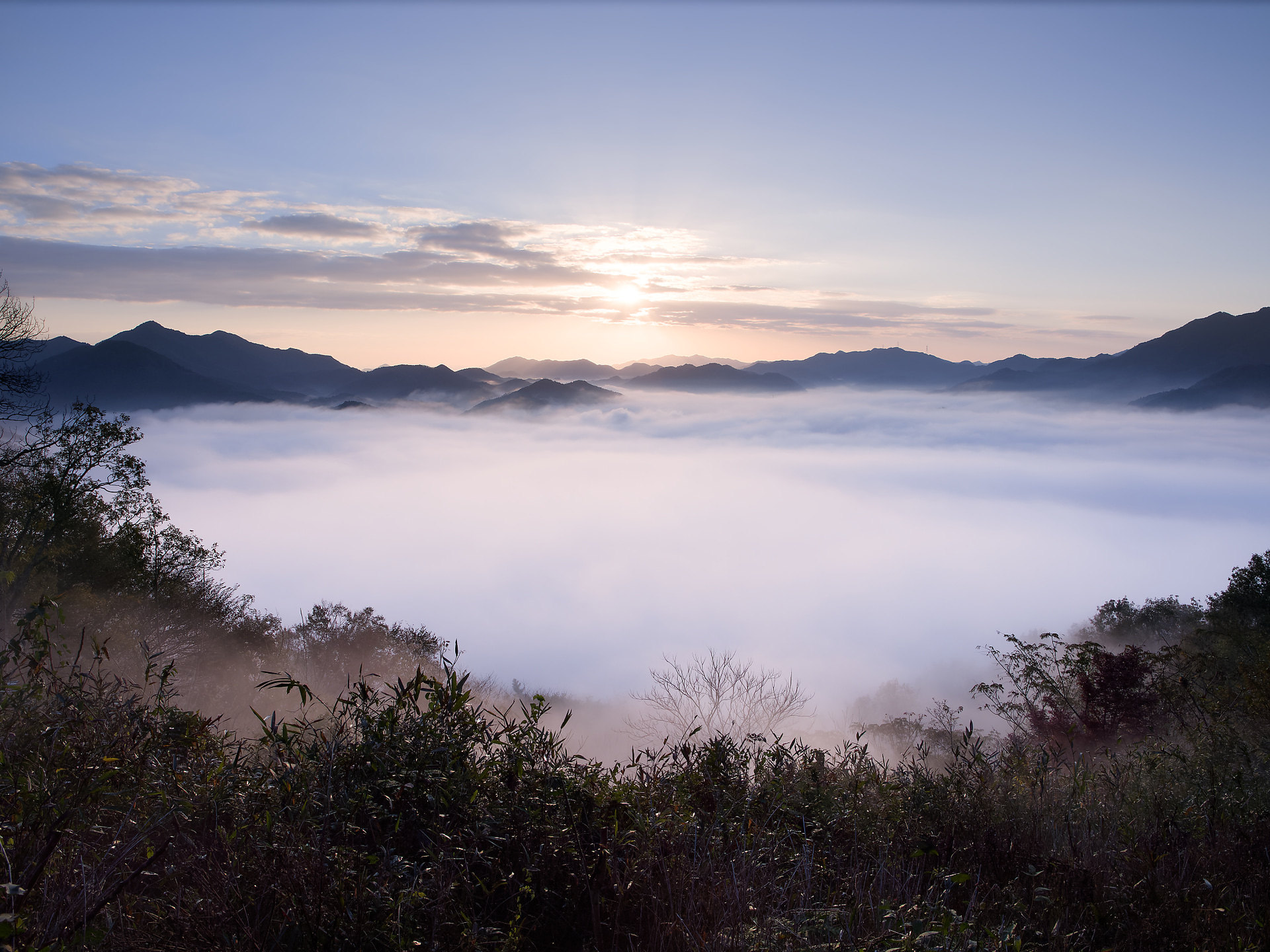 <span class="fnt-85">OMDS OM SYSTEM OM-1 Mark II／M.ZUIKO DIGITAL ED 12-40mm F2.8 PRO II／12mm（24mm相当）／マニュアル露出（F8、1/200秒）／ISO 200／WB：オート</span>