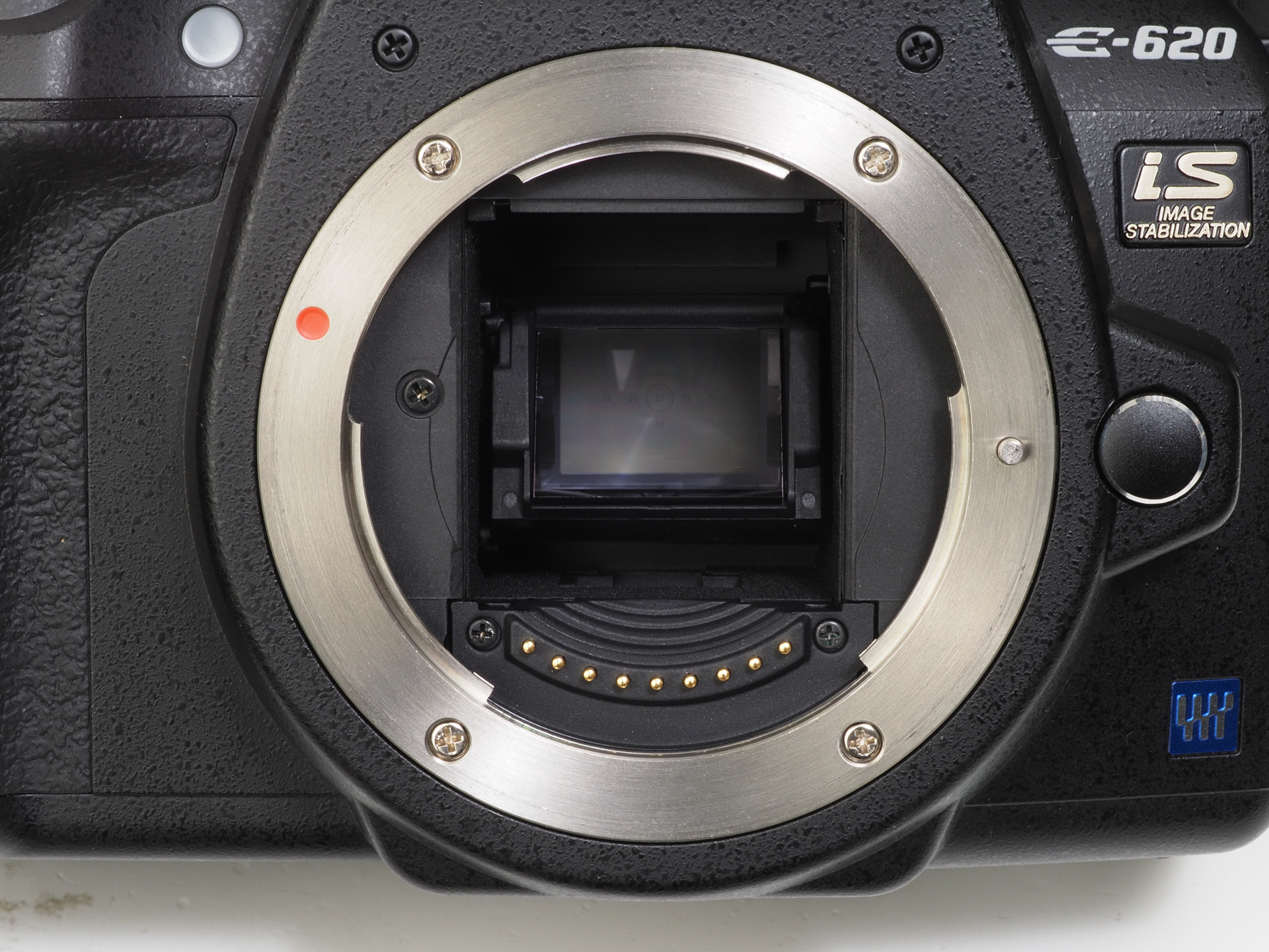 フォーサーズマウントとミラー。フルサイズ一眼レフのミラーと比較すると可愛いわけですが、動きは本格的ですぜ。ライブビューの時にはアップします。