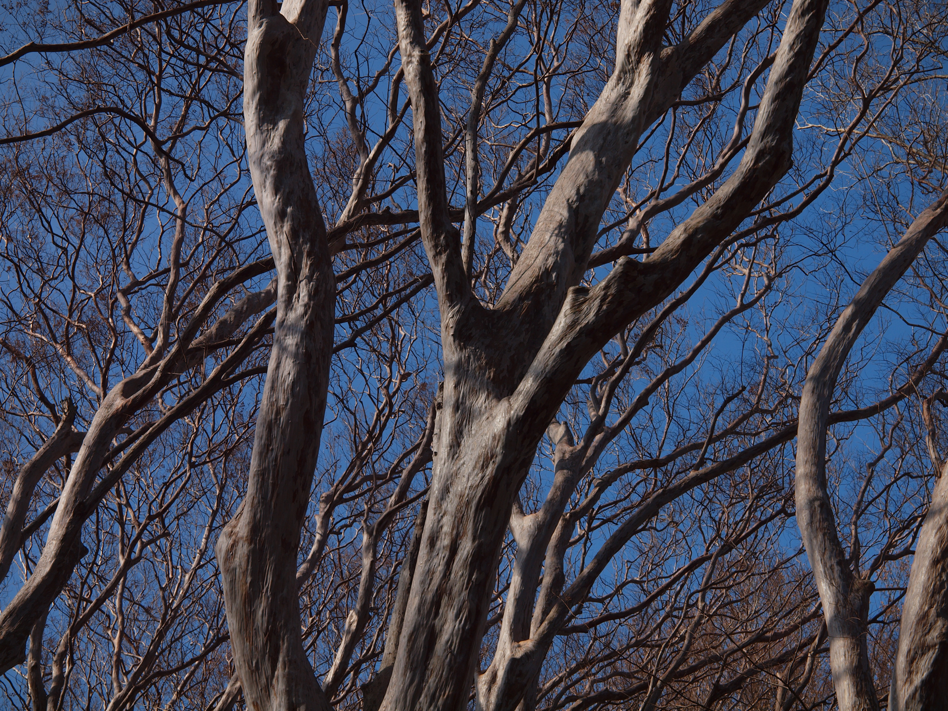 自然風景は撮らない筆者でありますが、そうだ、マイクロフォーサーズのレンズは焦点距離が短いから被写界深度が深いので試してみようということでF5.6設定で被写界深度をみてみることにしました。十分パンフォーカスになります。<br><span class="fnt-85">オリンパス E-620／ZUIKO DIGITAL ED 14-35mm F2.0 SWD／35mm（70mm相当）／絞り優先AE（1/640秒、F5.6、±0.0EV）／ISO 200</span>