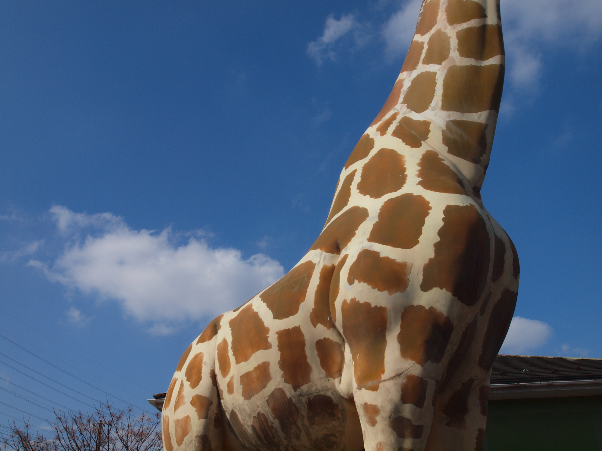 質感描写からは1,000万画素機であることを感じさせないですね。青空は古いカメラだとノイズ出たりしますけど本機は問題なく。<br><span class="fnt-85">オリンパス E-620／ZUIKO DIGITAL ED 9-18mm F4-5.6／18mm（36mm相当）／プログラムAE（1/640秒、F11、−0.3EV）／ISO 200</span>