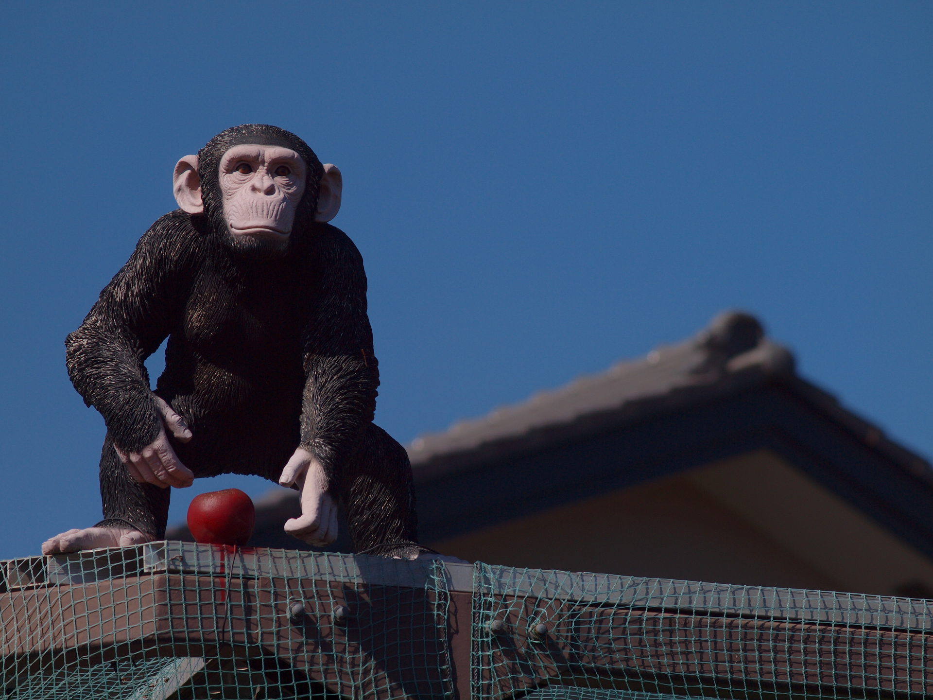 線は少しだけ太い感じもしますけど、描写は悪くないです。少し絞り込んでますけどボケも良い感じです。<br><span class="fnt-85">オリンパス E-620／ZUIKO DIGITAL 40-150mm F3.5-4.5／150mm（300mm相当）／絞り優先AE（1/1,000秒、F7.1、−0.7EV）／ISO 200</span>