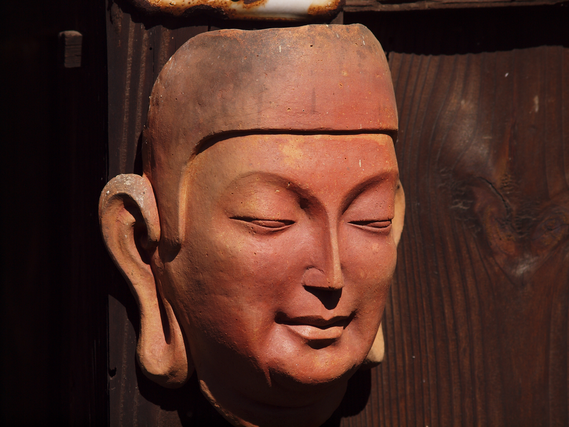 至近距離での描写はどうかということで撮影してみます。本レンズは距離指標がないので、最短撮影距離とか忘れるんですよね。<br><span class="fnt-85">オリンパス E-620／ZUIKO DIGITAL 40-150mm F3.5-4.5／104mm（208mm相当）／絞り優先AE（1/800秒、F7.1、−0.7EV）／ISO 200</span>