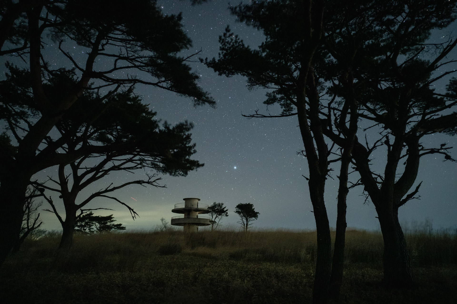 ニコン Z8／SAMYANG AF 24mm F1.8／24mm／マニュアル露出（15秒、F1.8）／ISO 4000