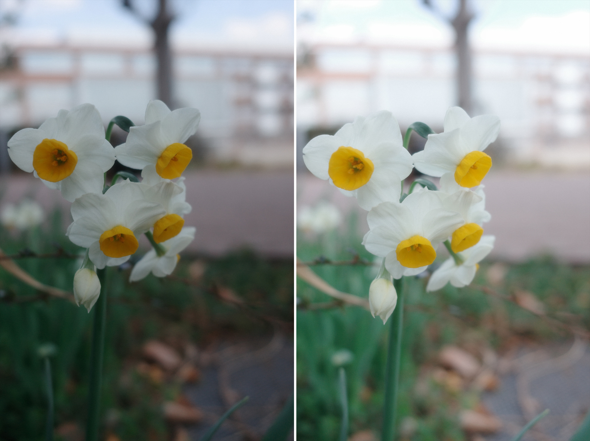 左は露出補正なし、右は＋1.3EV補正