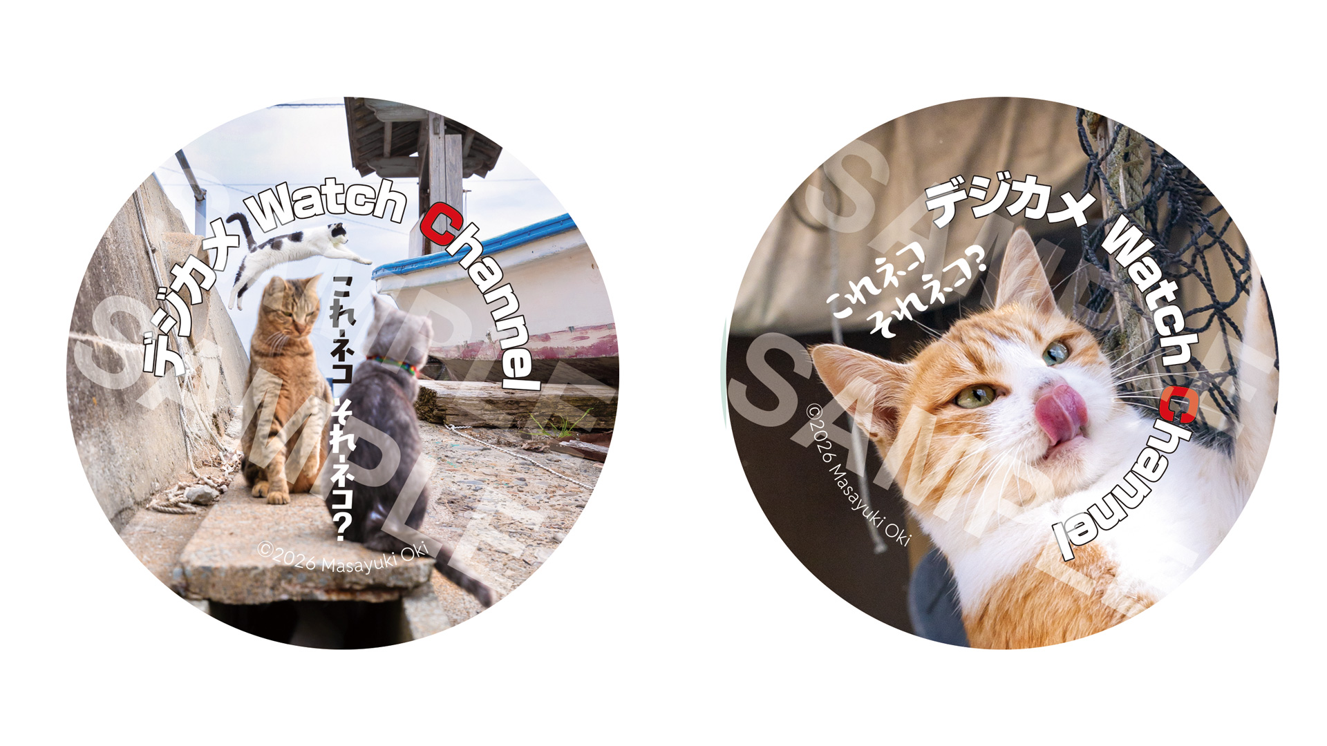 これネコそれネコ