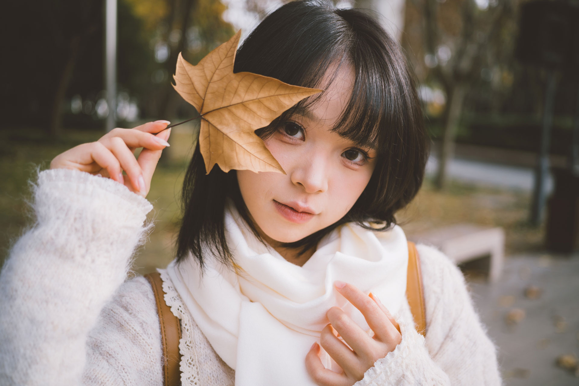 サンプル画像（焦点工房提供）