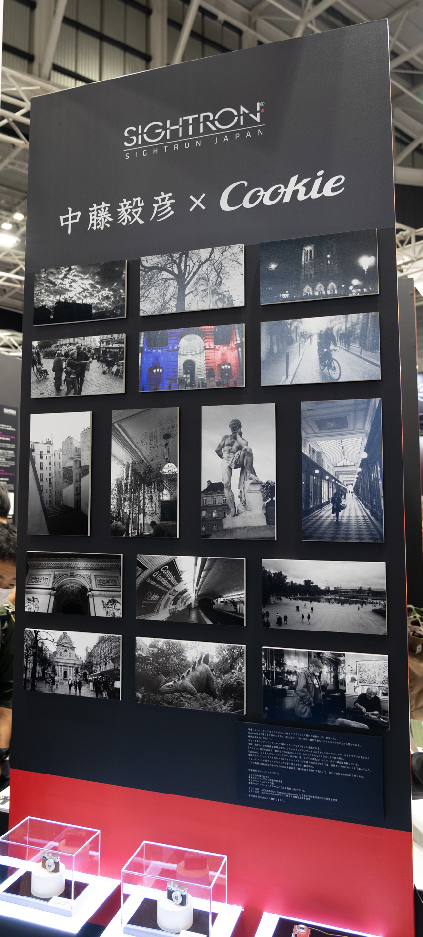 トイデジカメであっても中藤さんの作風は健在のようだ