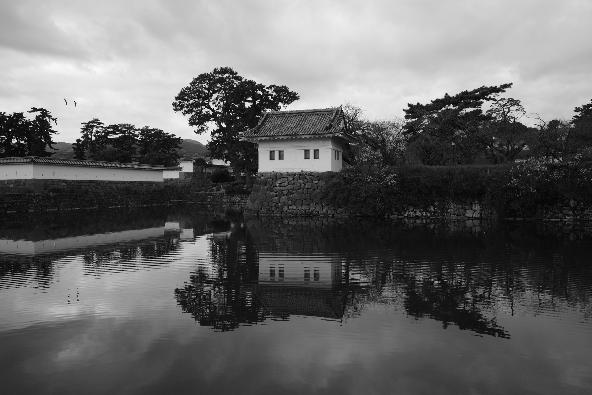 RICOH GR IV Monochrome／18.3mm／マニュアル露出（F3.2、1/160秒、-0.3EV）／ISO 320／イメージコントロール：ソリッド