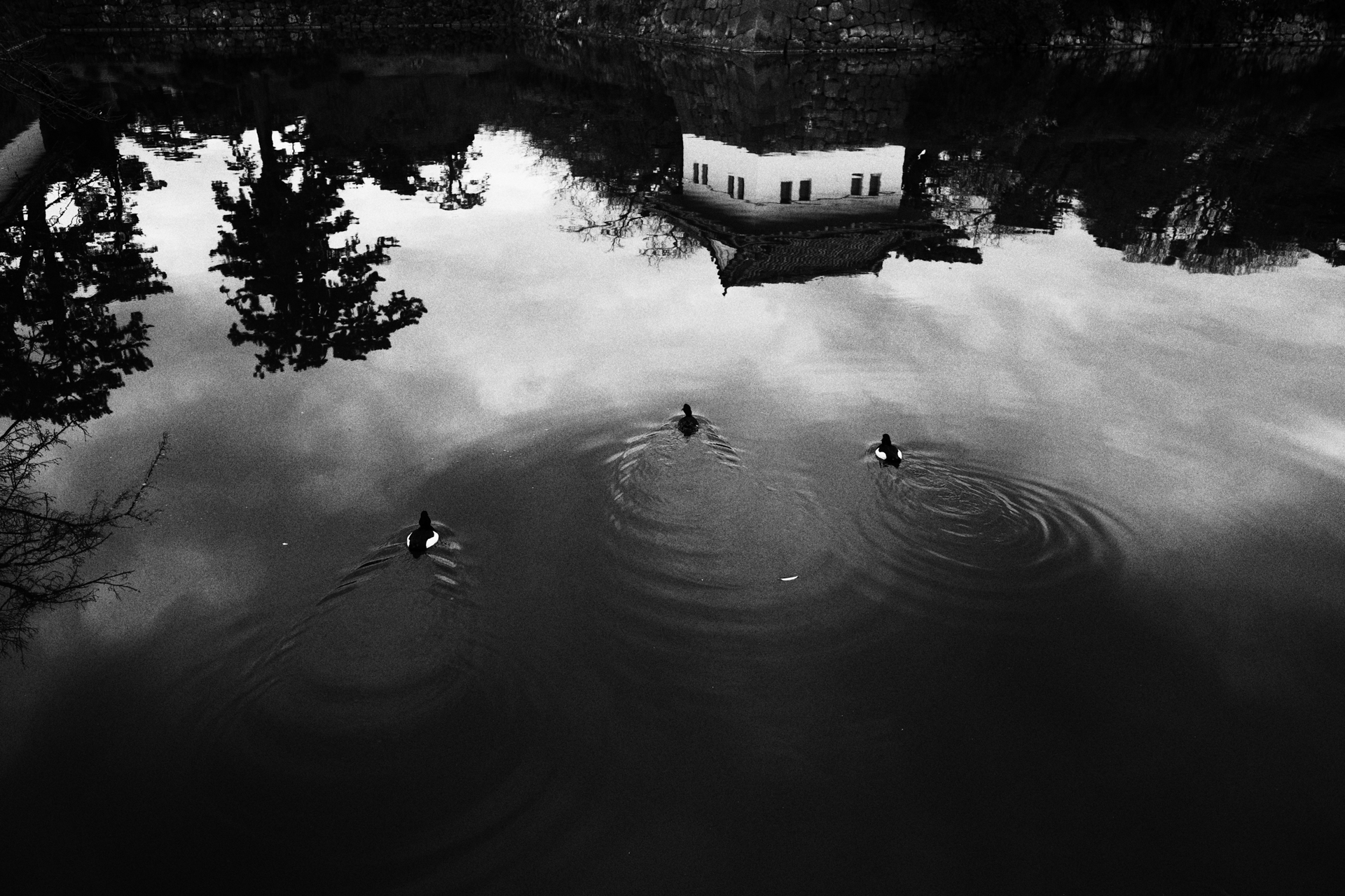 RICOH GR IV Monochrome／18.3mm／マニュアル露出（F2.8、1/160秒、-0.3EV）／ISO 160／イメージコントロール：ハイコントラスト